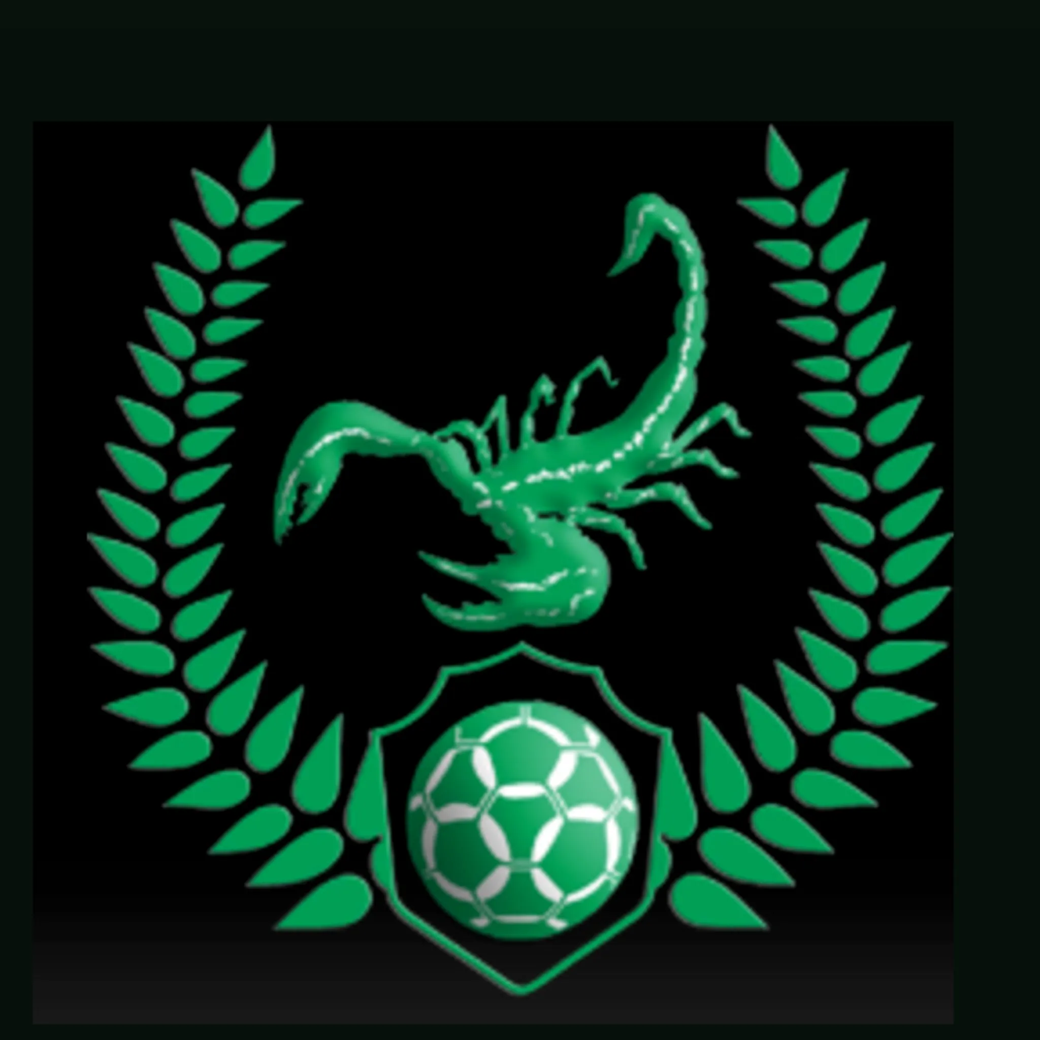 Sawtell Football Club