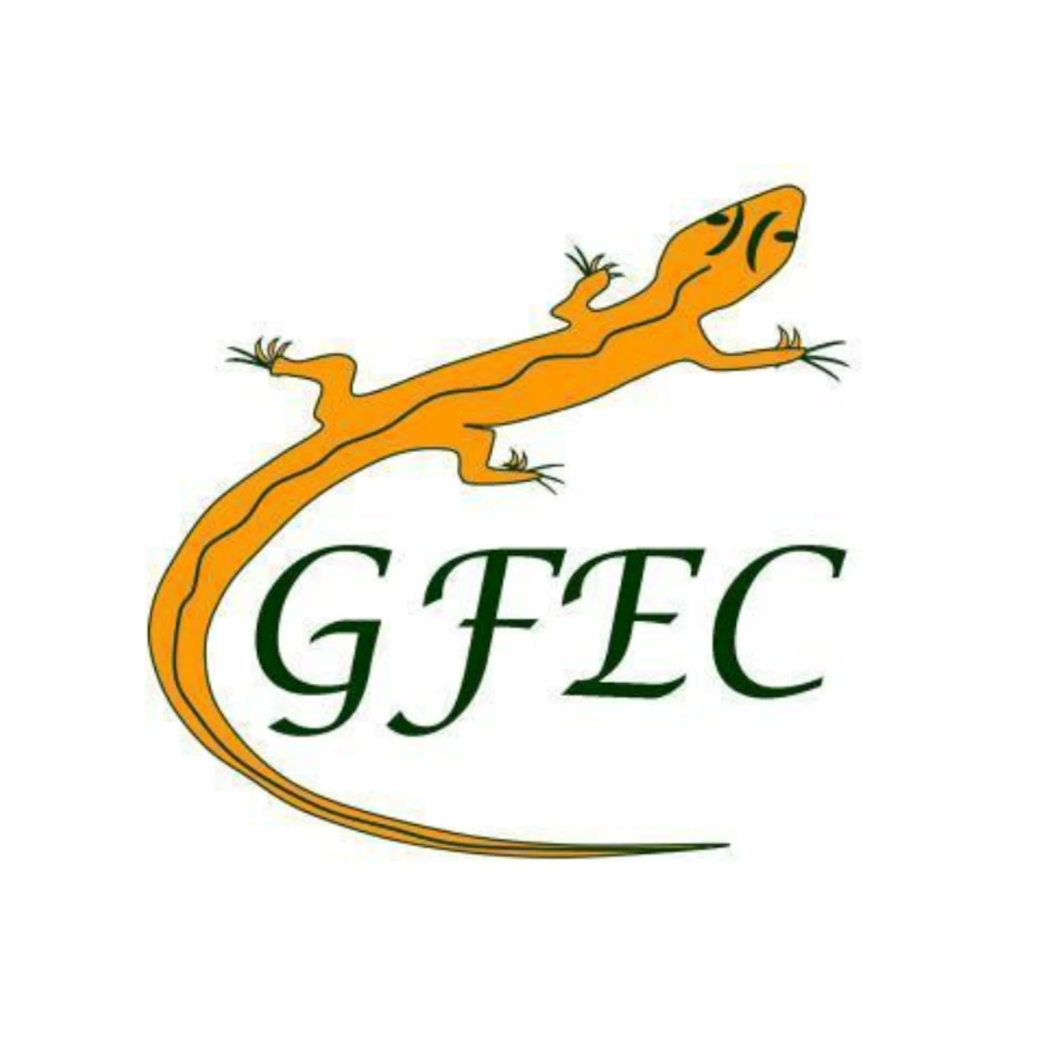 Gold Fields Equestrian Club