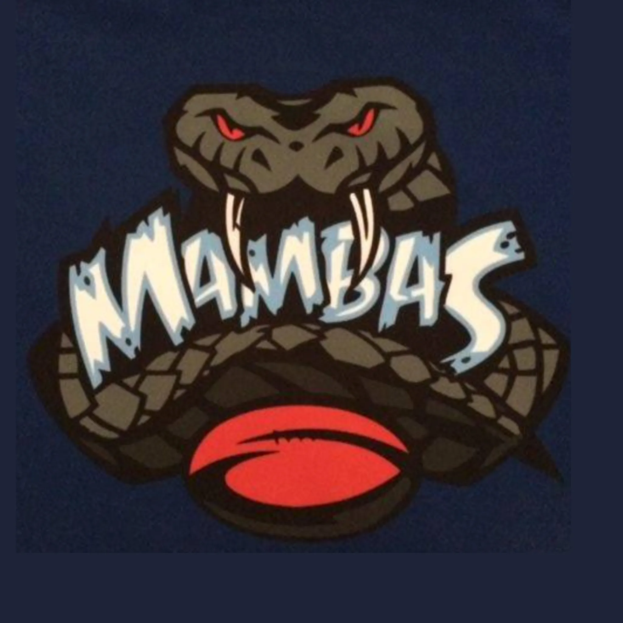 Muswellbrook Touch Association