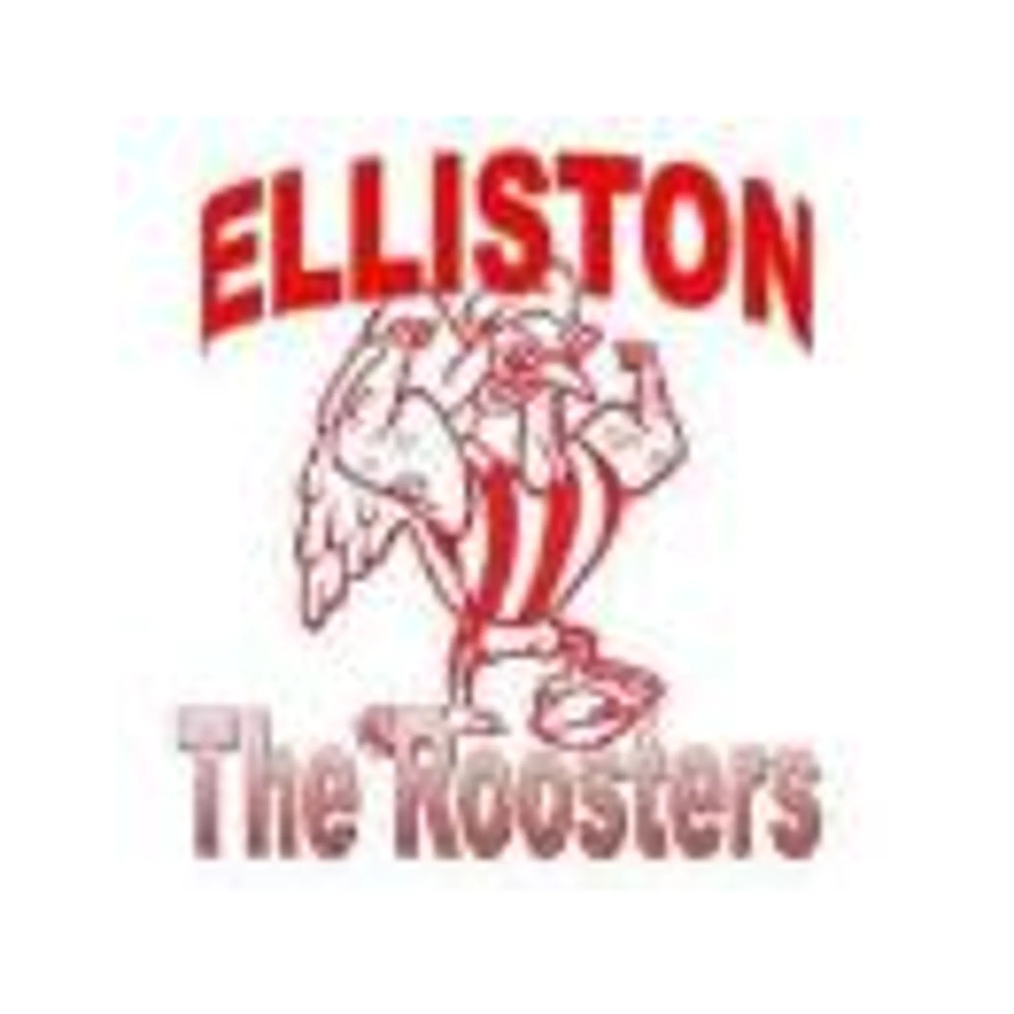 Elliston Netball Club
