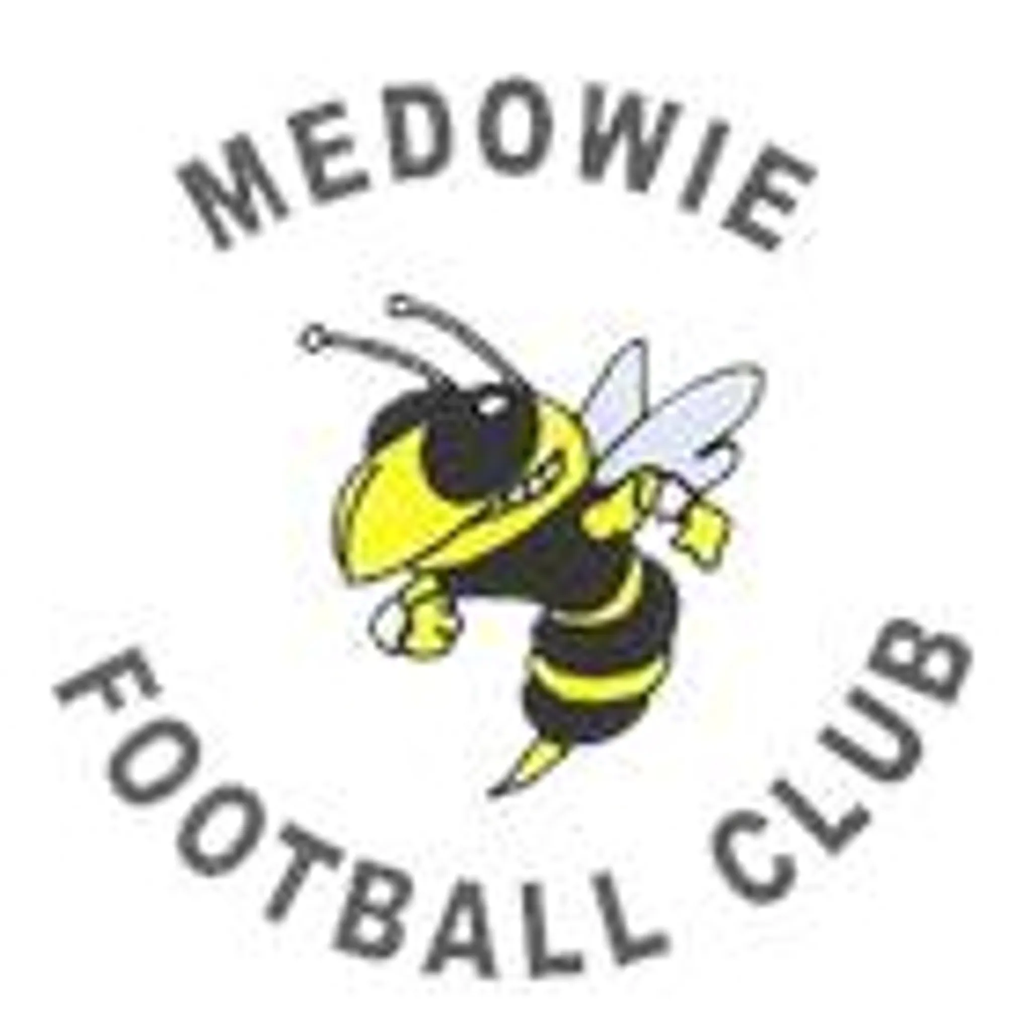 Medowie Football Club Inc