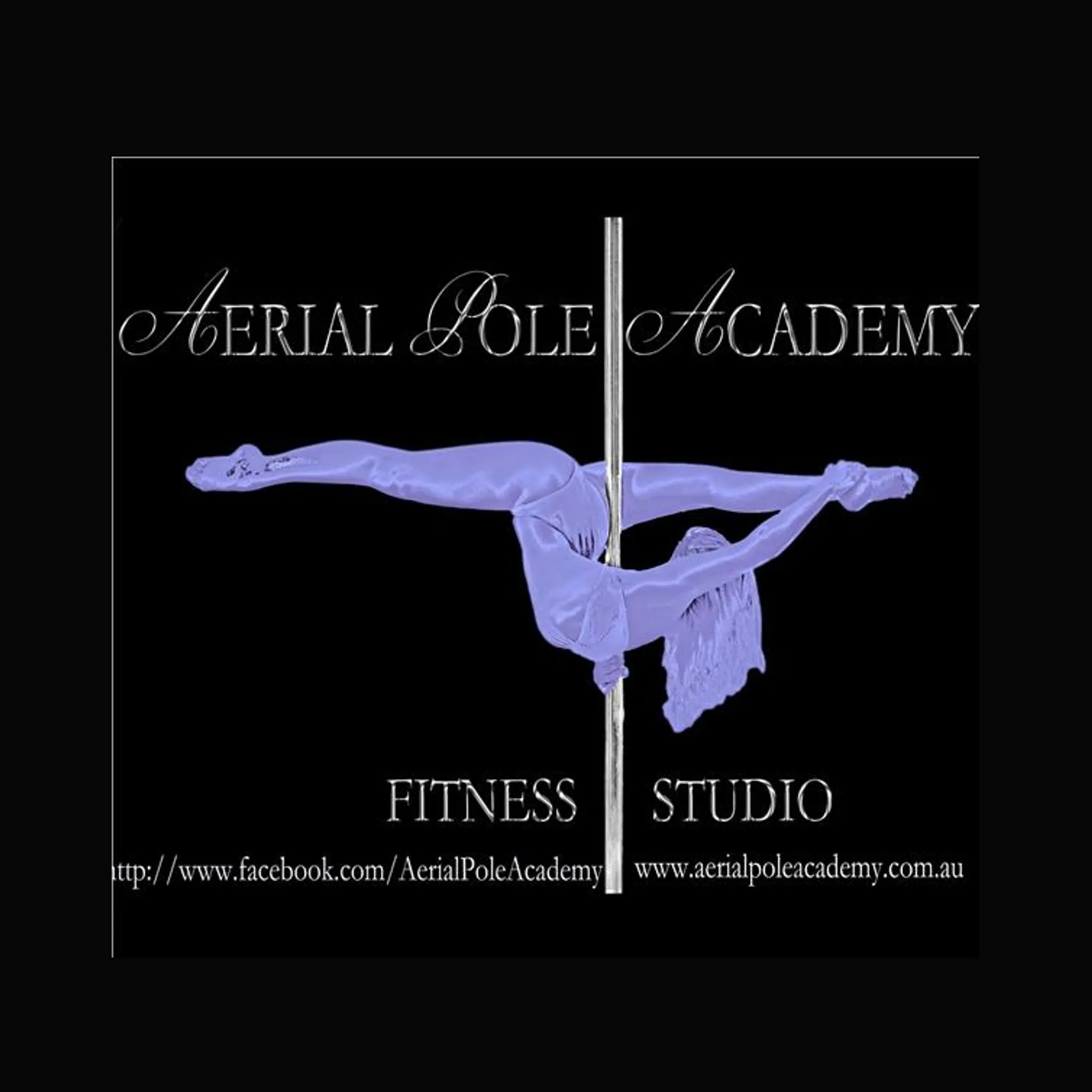 Aerial Pole Academy