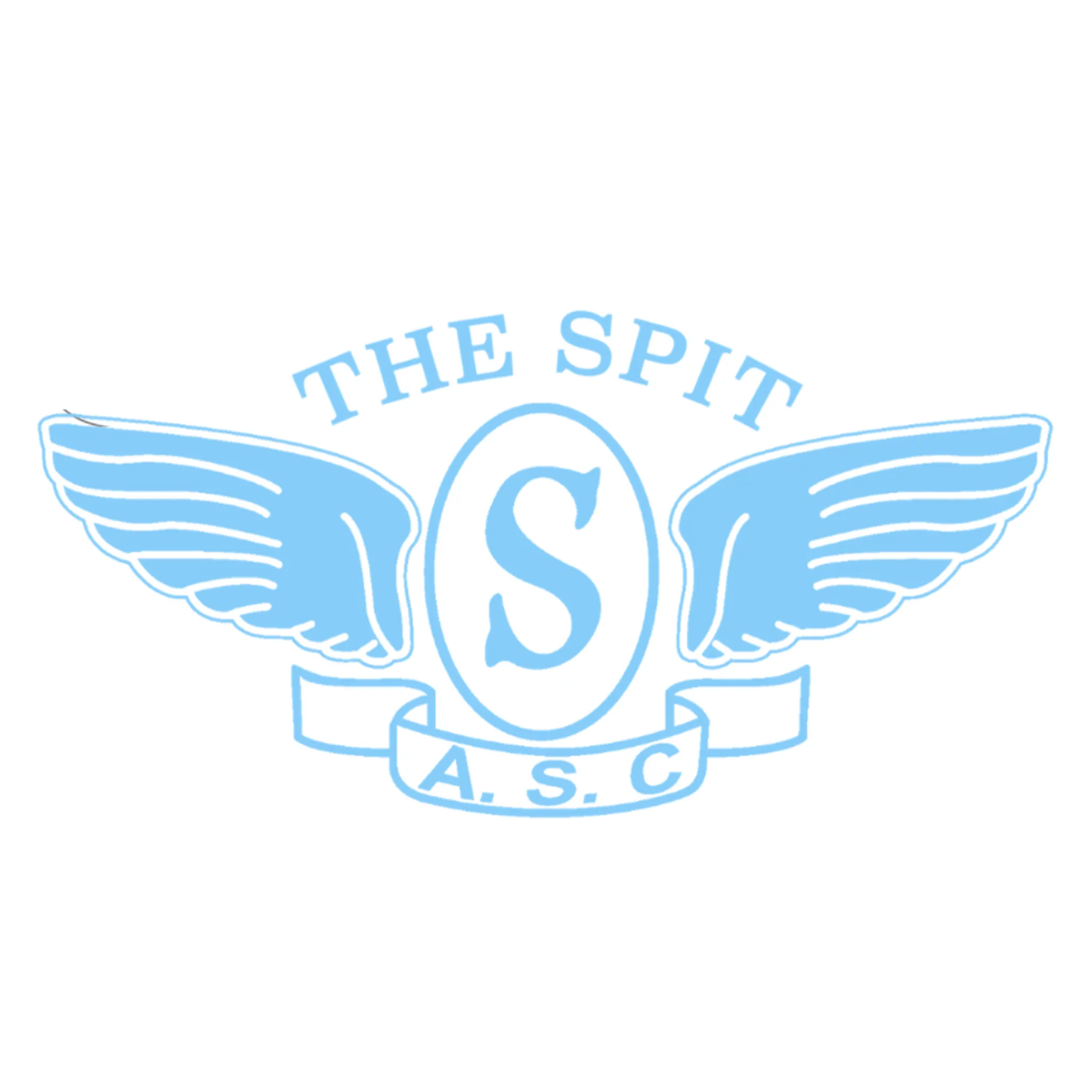 The Spit Swim Club