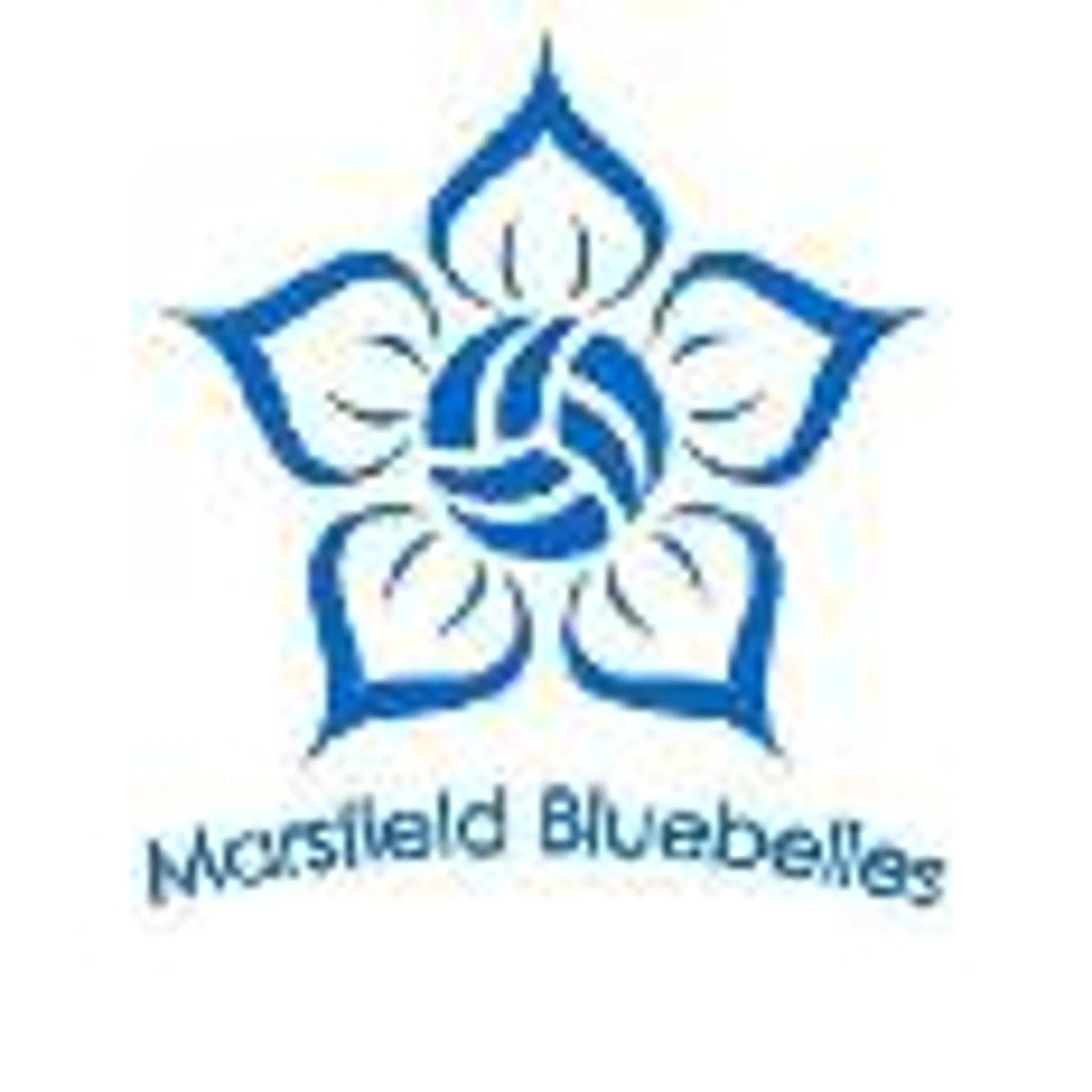 Marsfield Bluebelles Netball Club