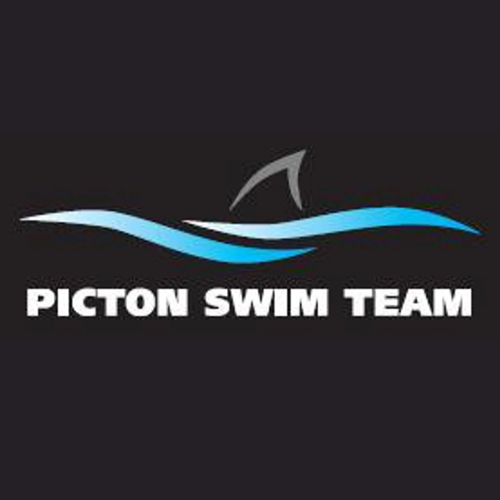 Picton Swimming Club
