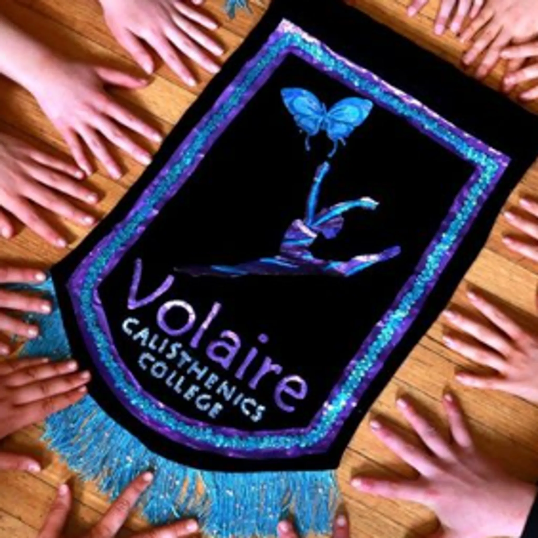 Volaire Calisthenics College