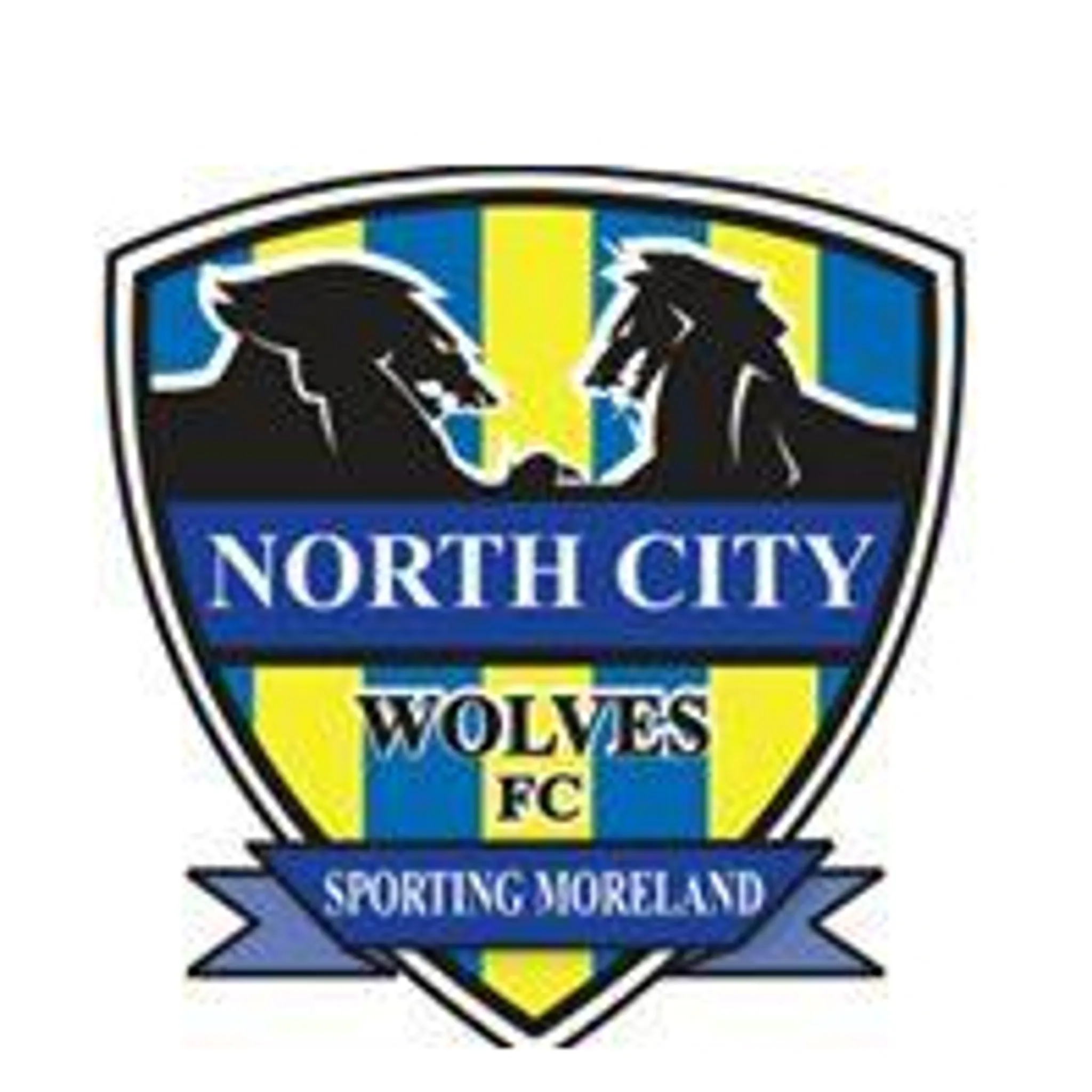 North City Wolves Football Club