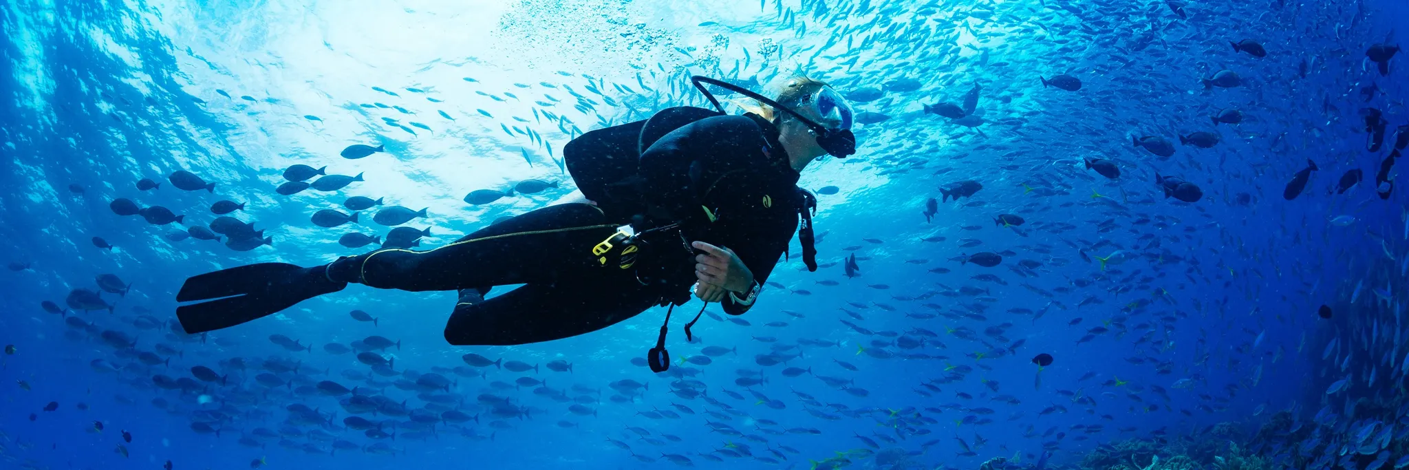Learn to Dive Open Water Course