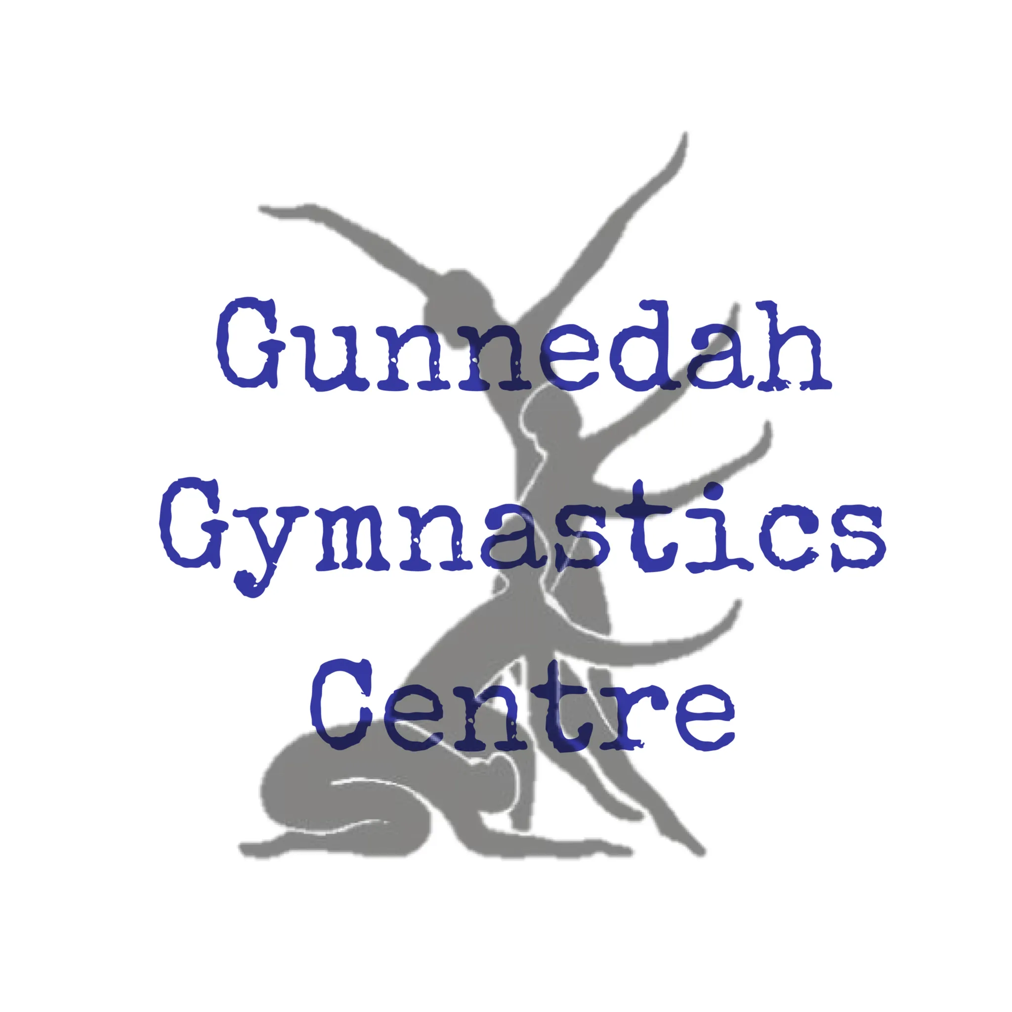 Gunnedah Gymnastics Centre Association Inc.