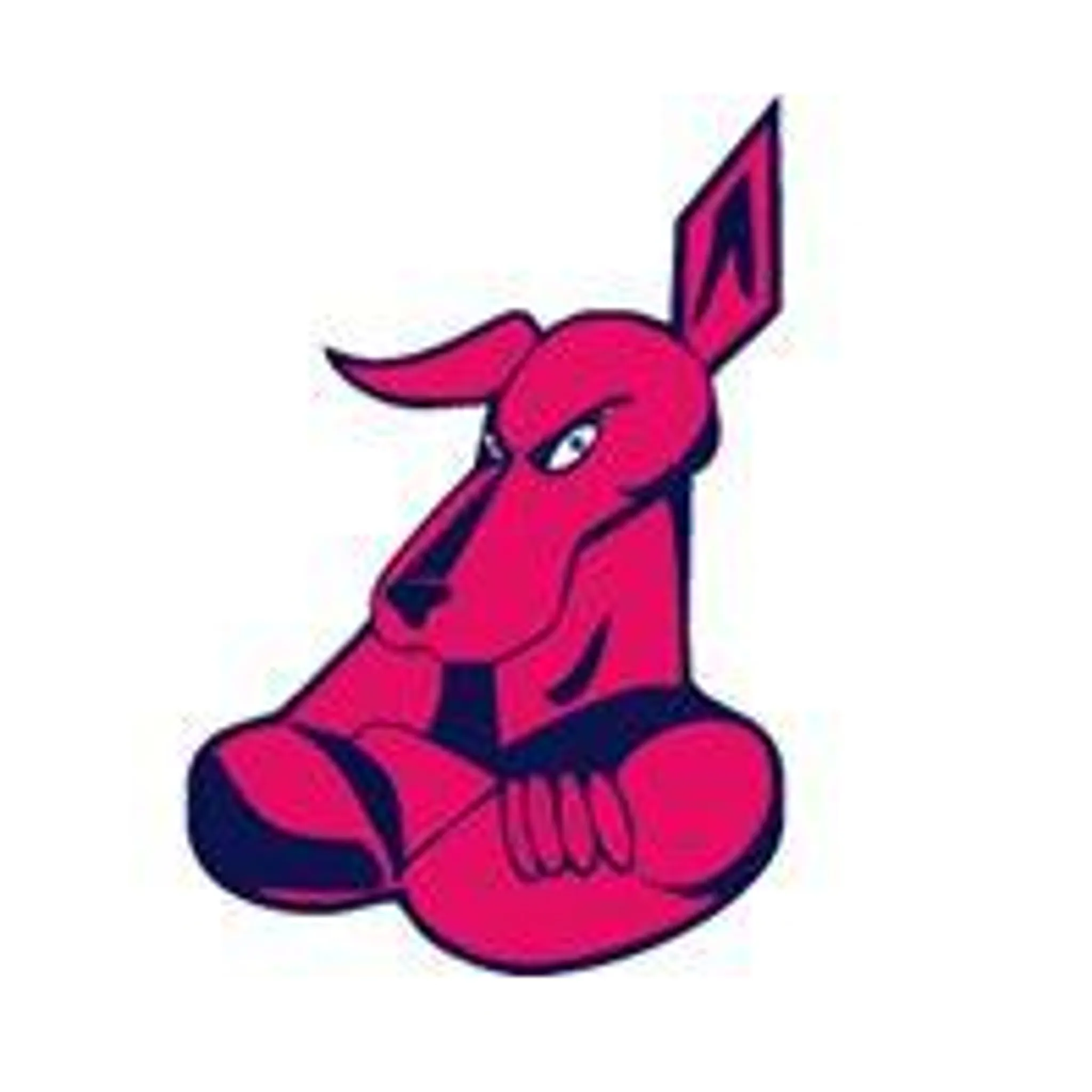 Anakie Football & Netball Club