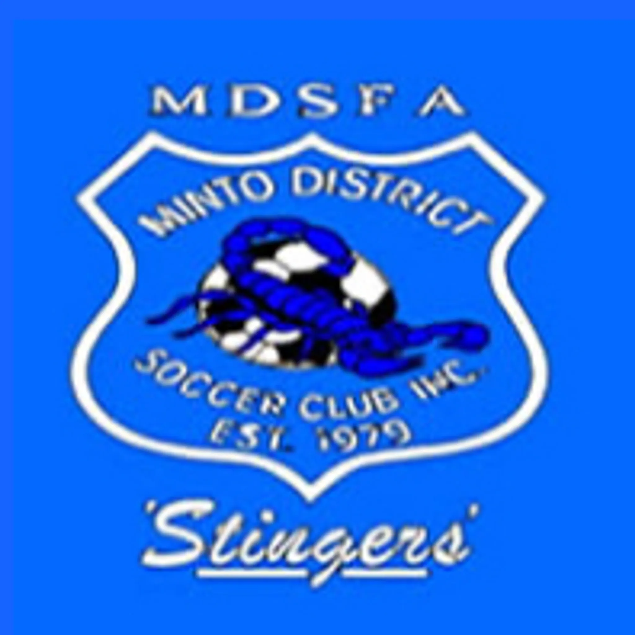 Minto District SC (Macarthur Football Association Inc)