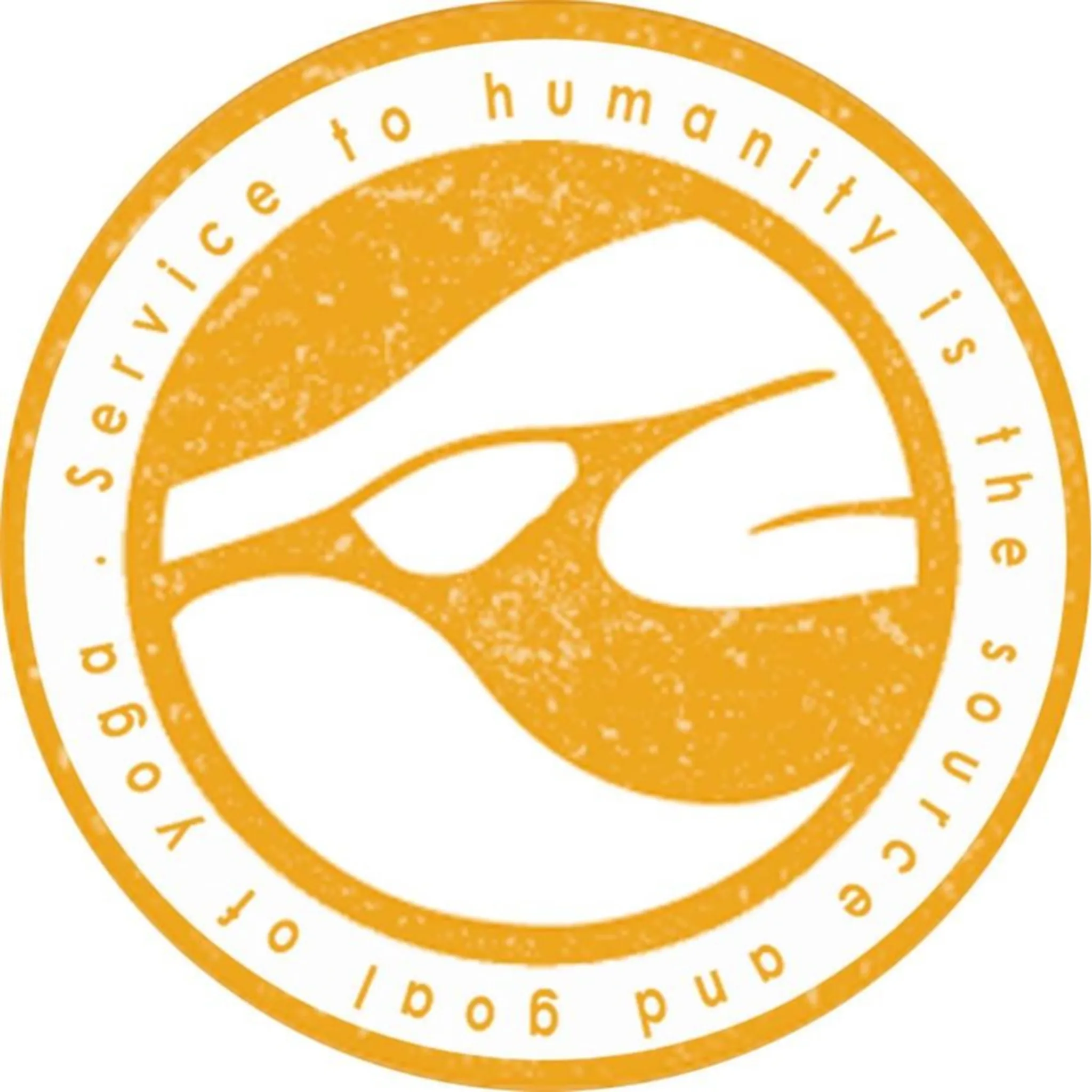 The Living Room Yoga School Coogee Beach