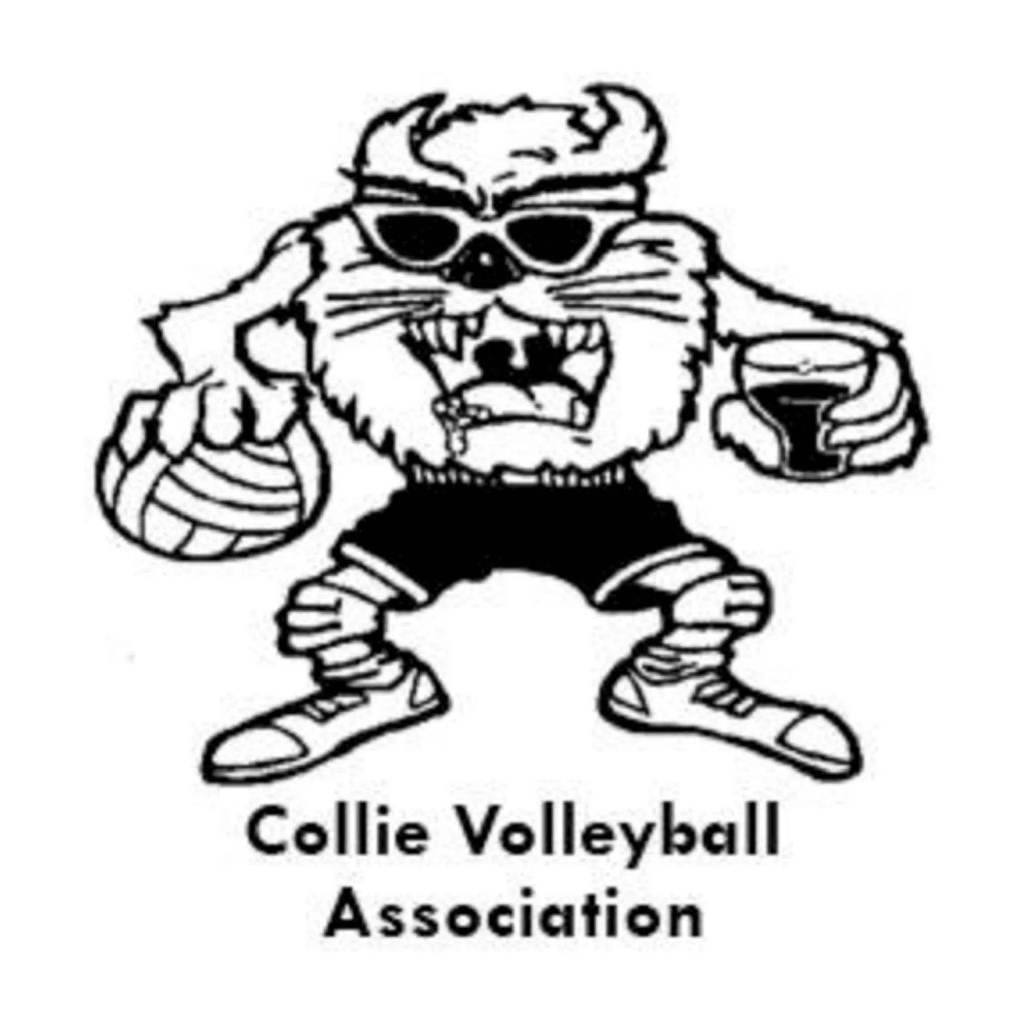 Collie Volleyball Association