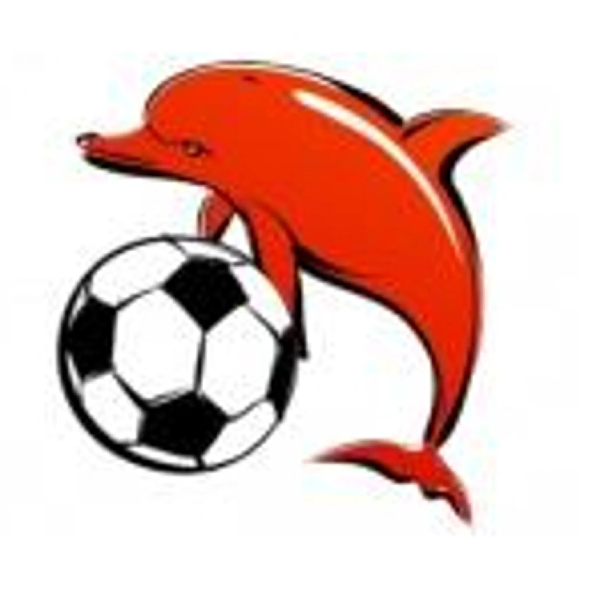 Hampton Dolphins FC