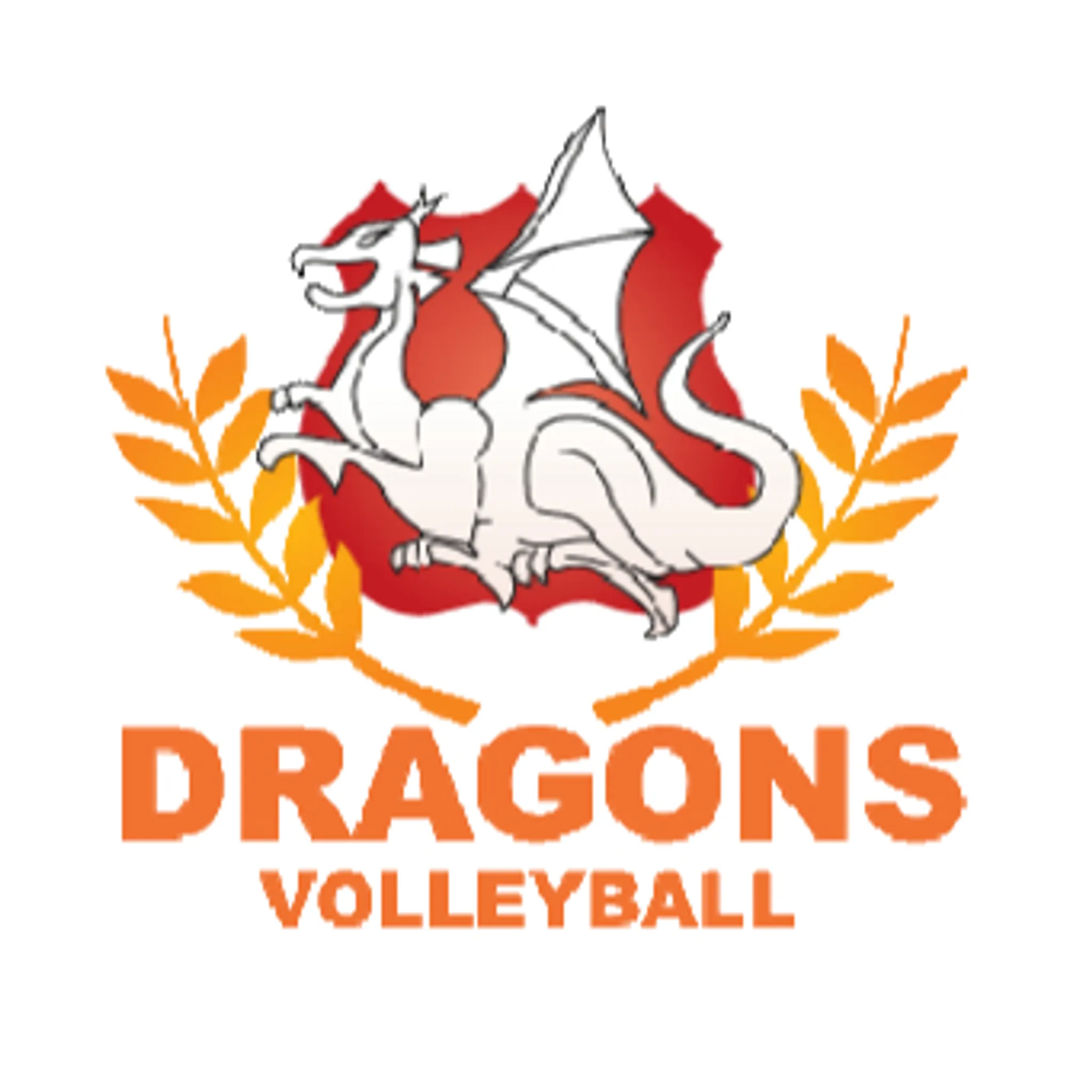 Dragon's Volleyball Association Inc.