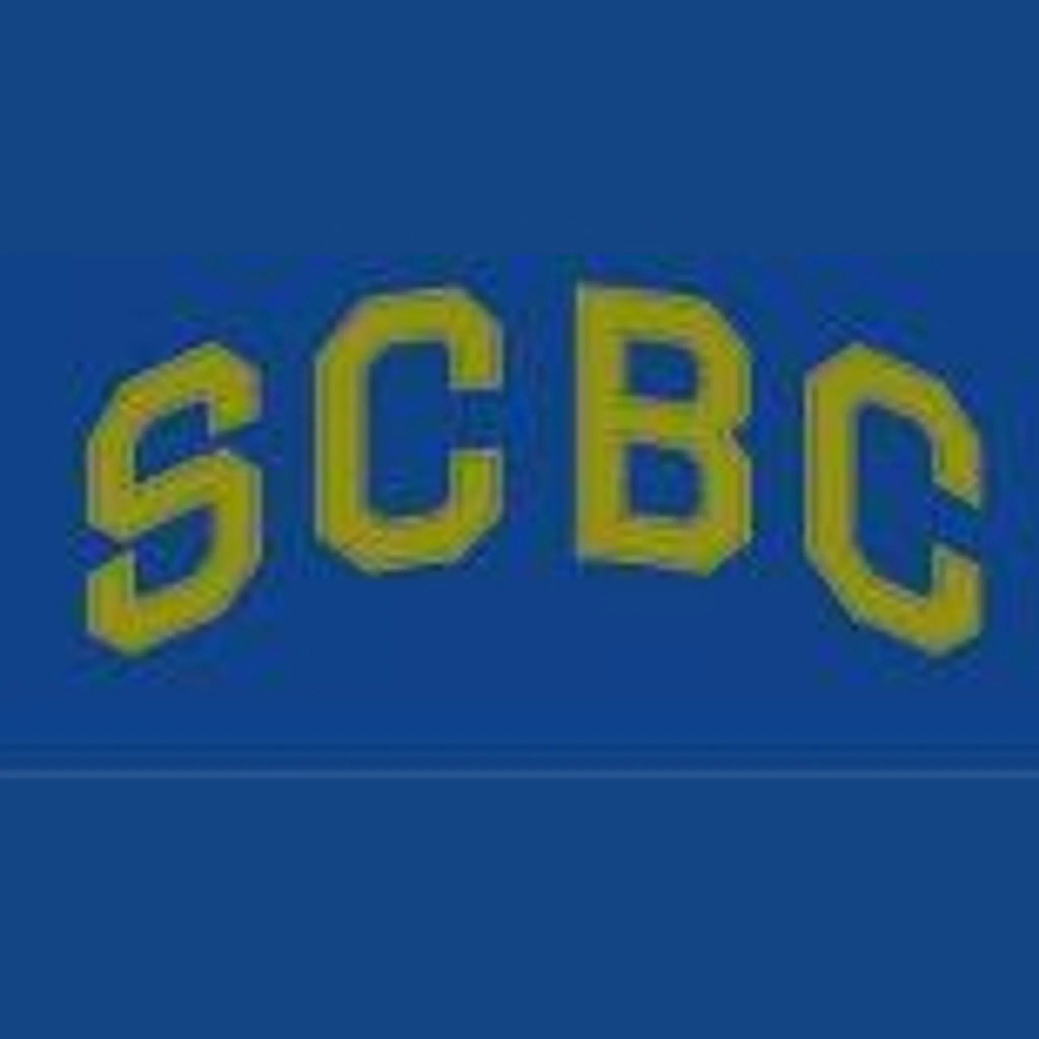 South Camberwell Basketball Club