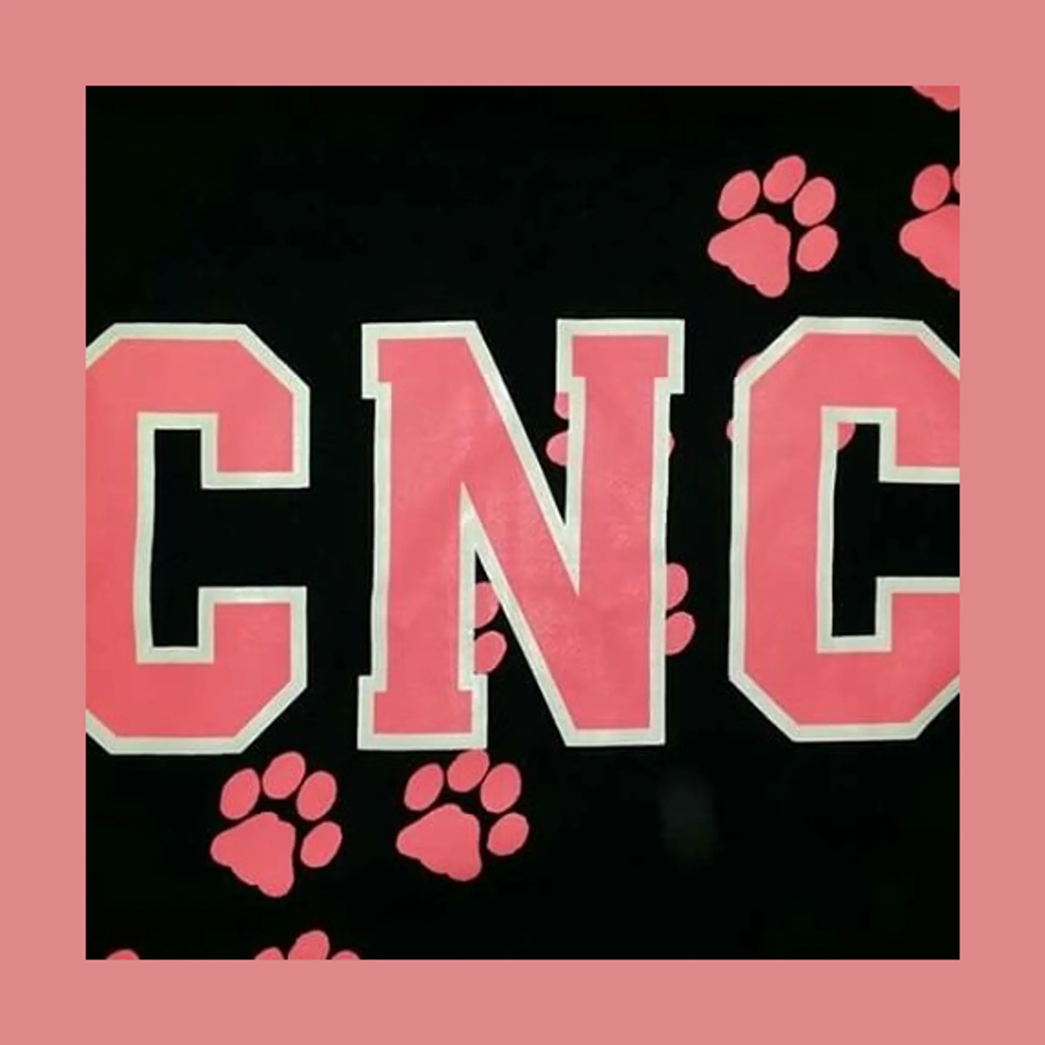 Chidlow Netball Club