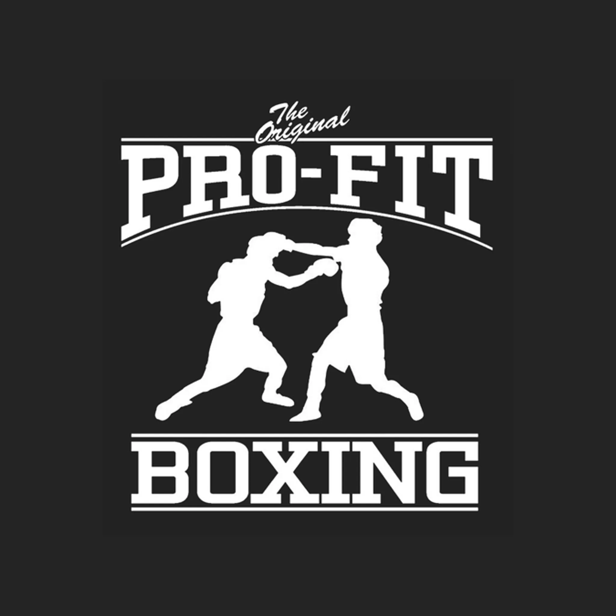 Pro-Fit Boxing