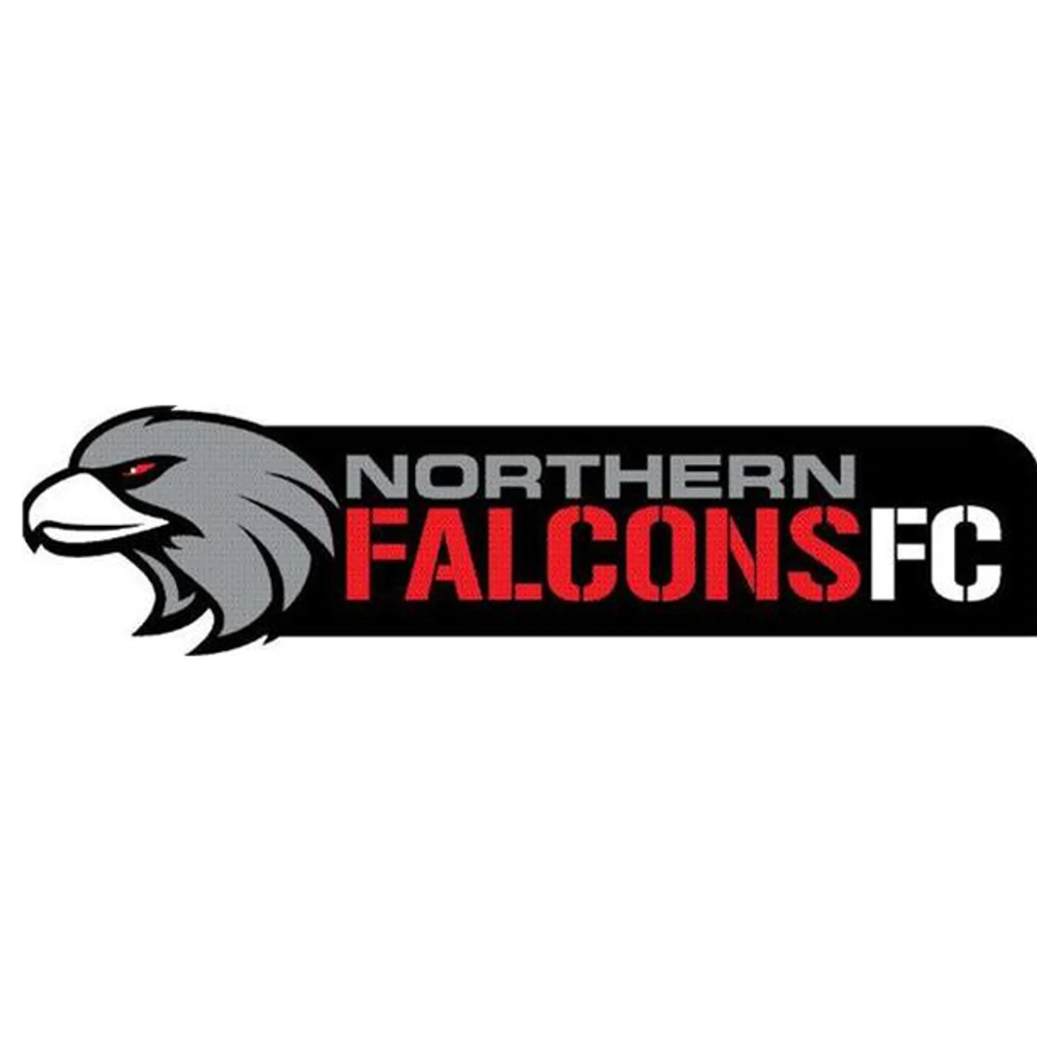Northern Falcons FC