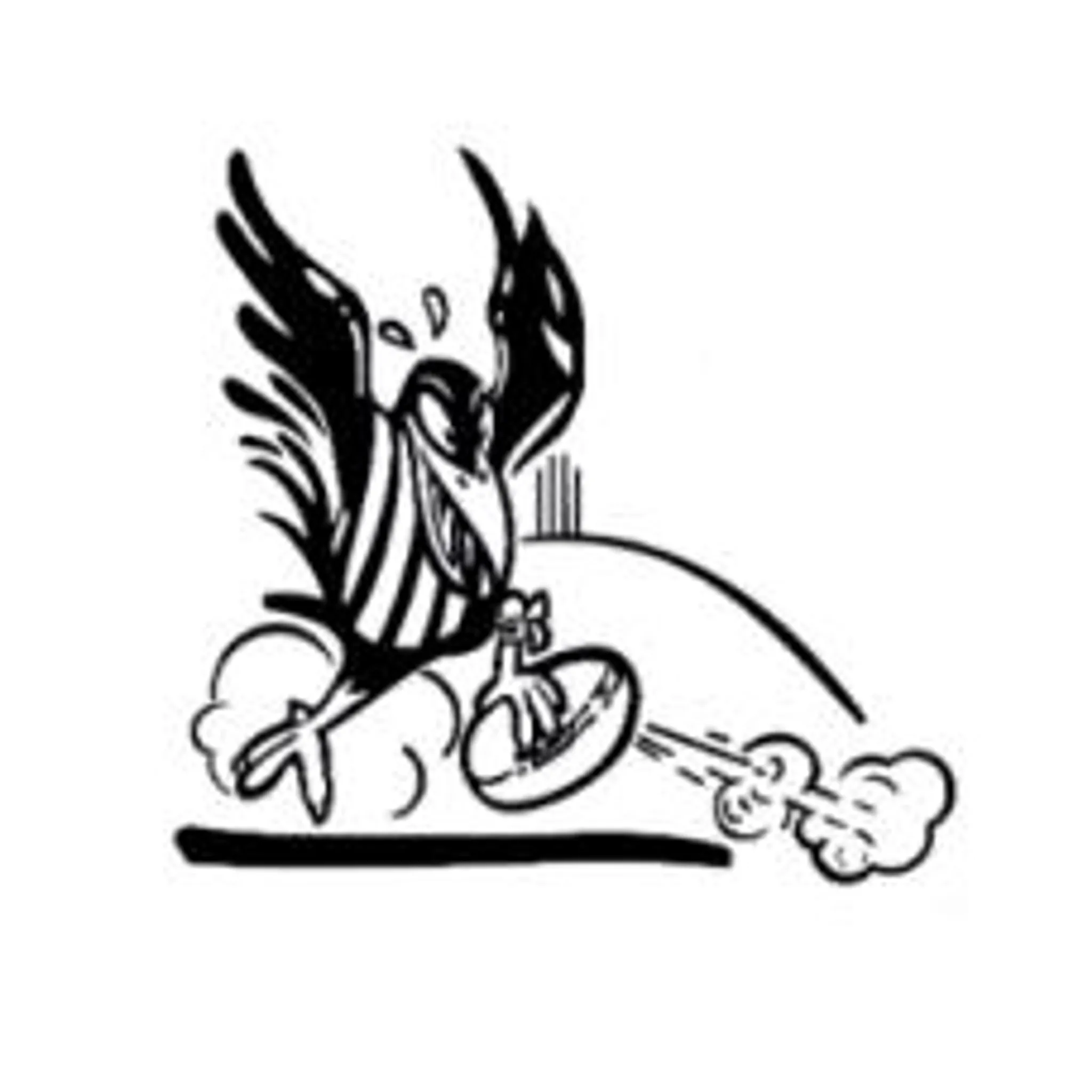 PALMERSTON MAGPIES FC