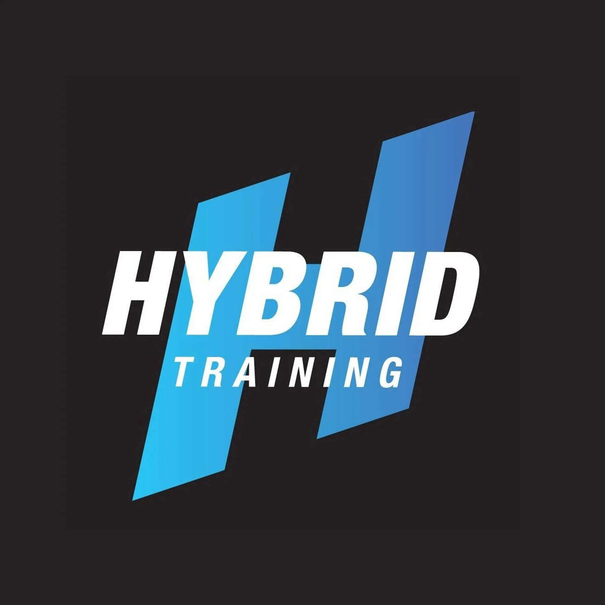 Hybrid Training