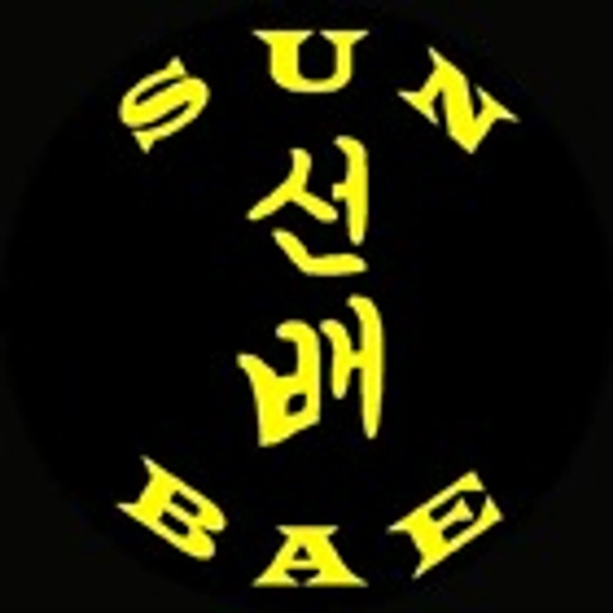 Sun Bae Taekwondo & Hapkido - Kenmore