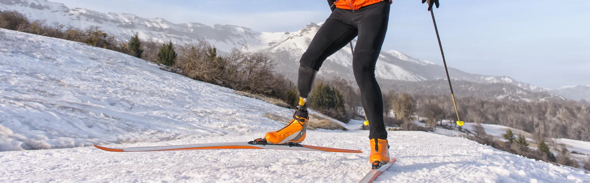 Para Cross Country Skiing banner