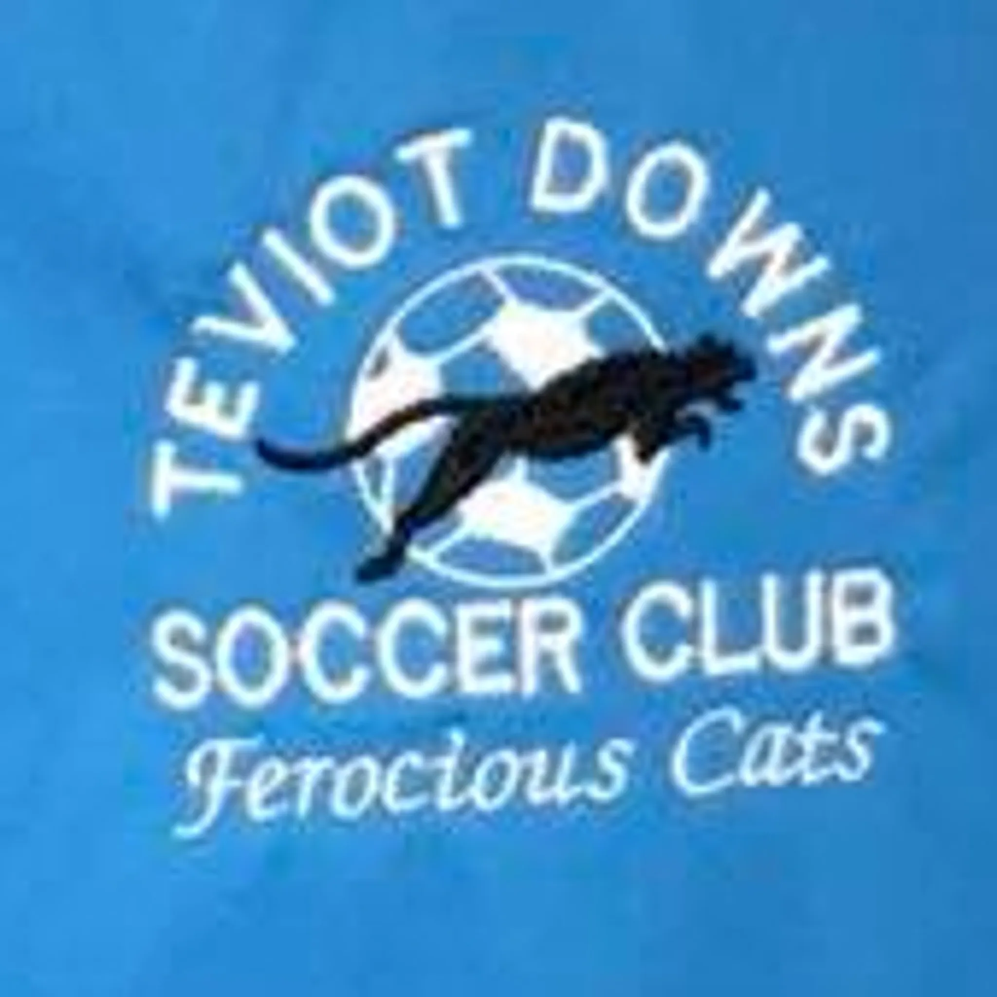 Teviot Downs Soccer Club