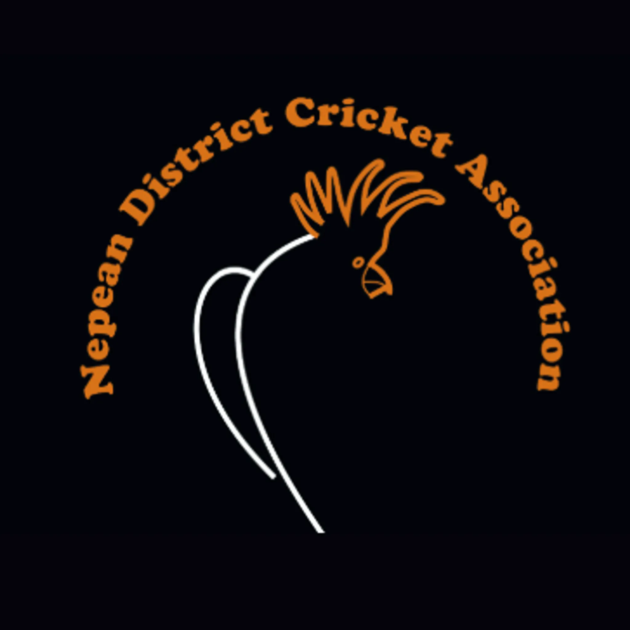 Nepean District Cricket Association