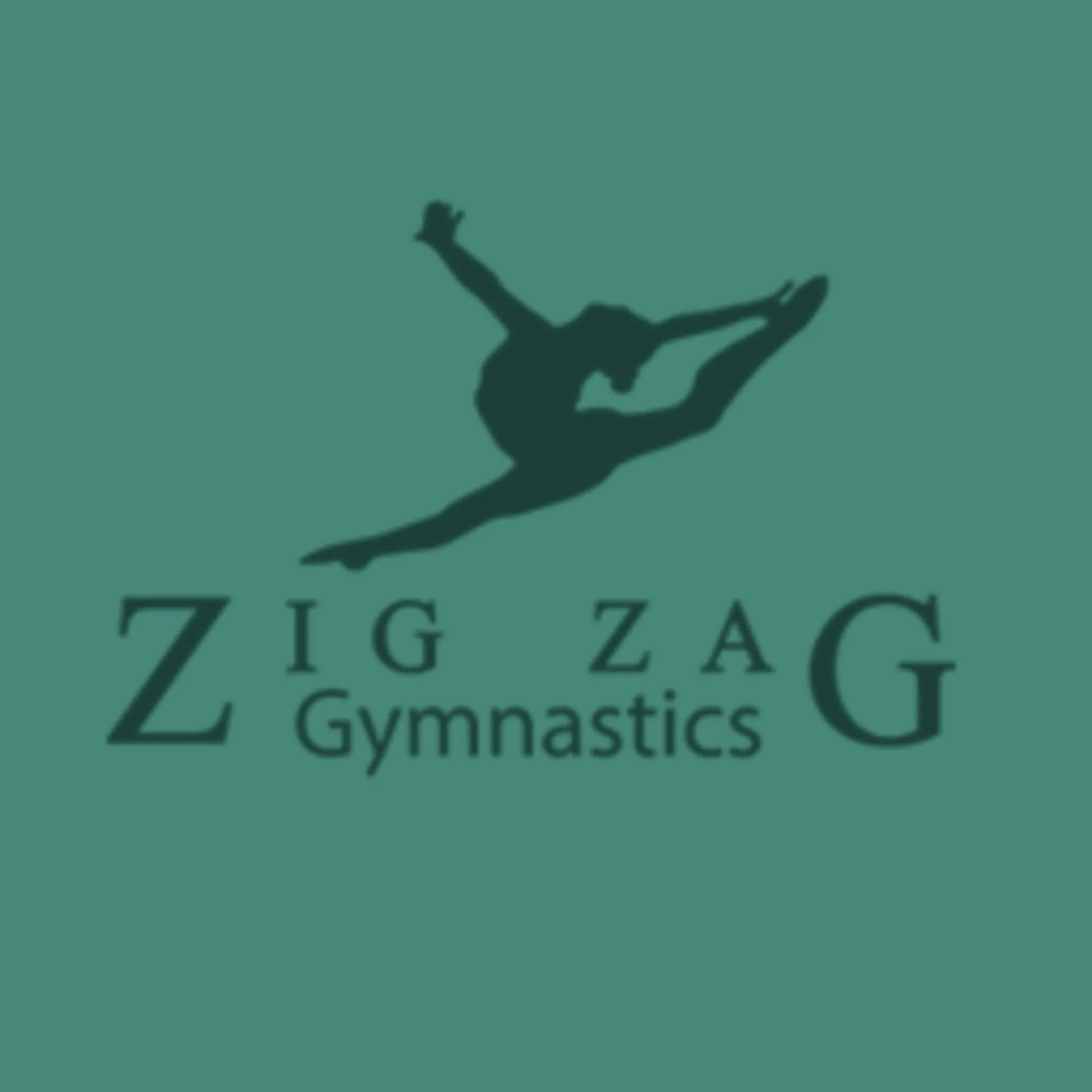 Zig Zag Gymnastics