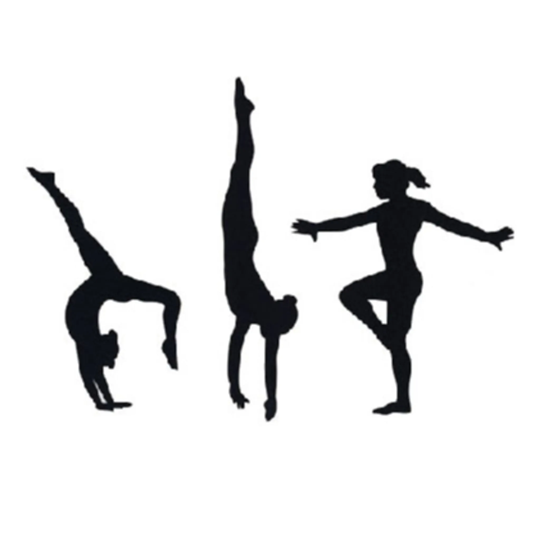 Ingleburn RSL Youth Club Gymnastics & Trampolining Division