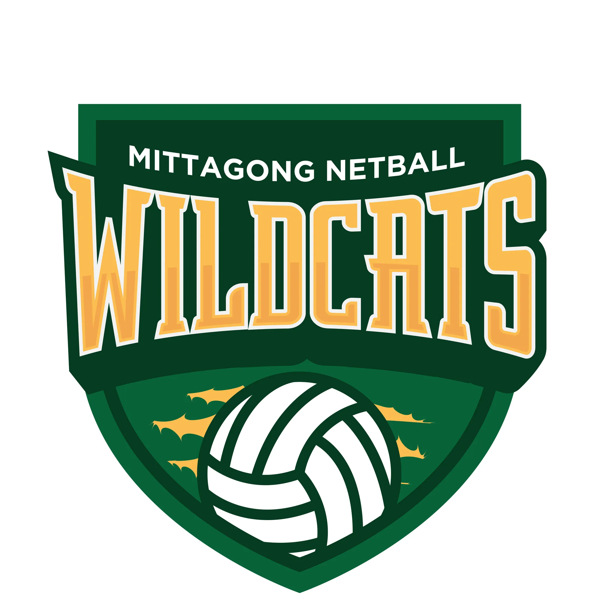 Mittagong Netball Club