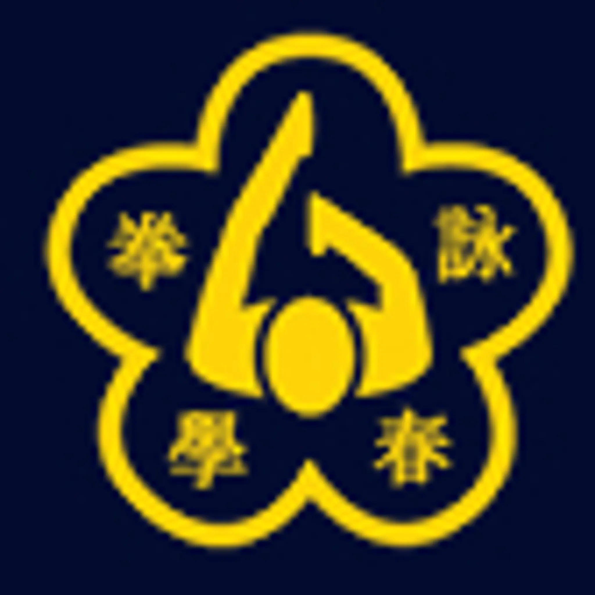 Wing Chun Chinese Boxing