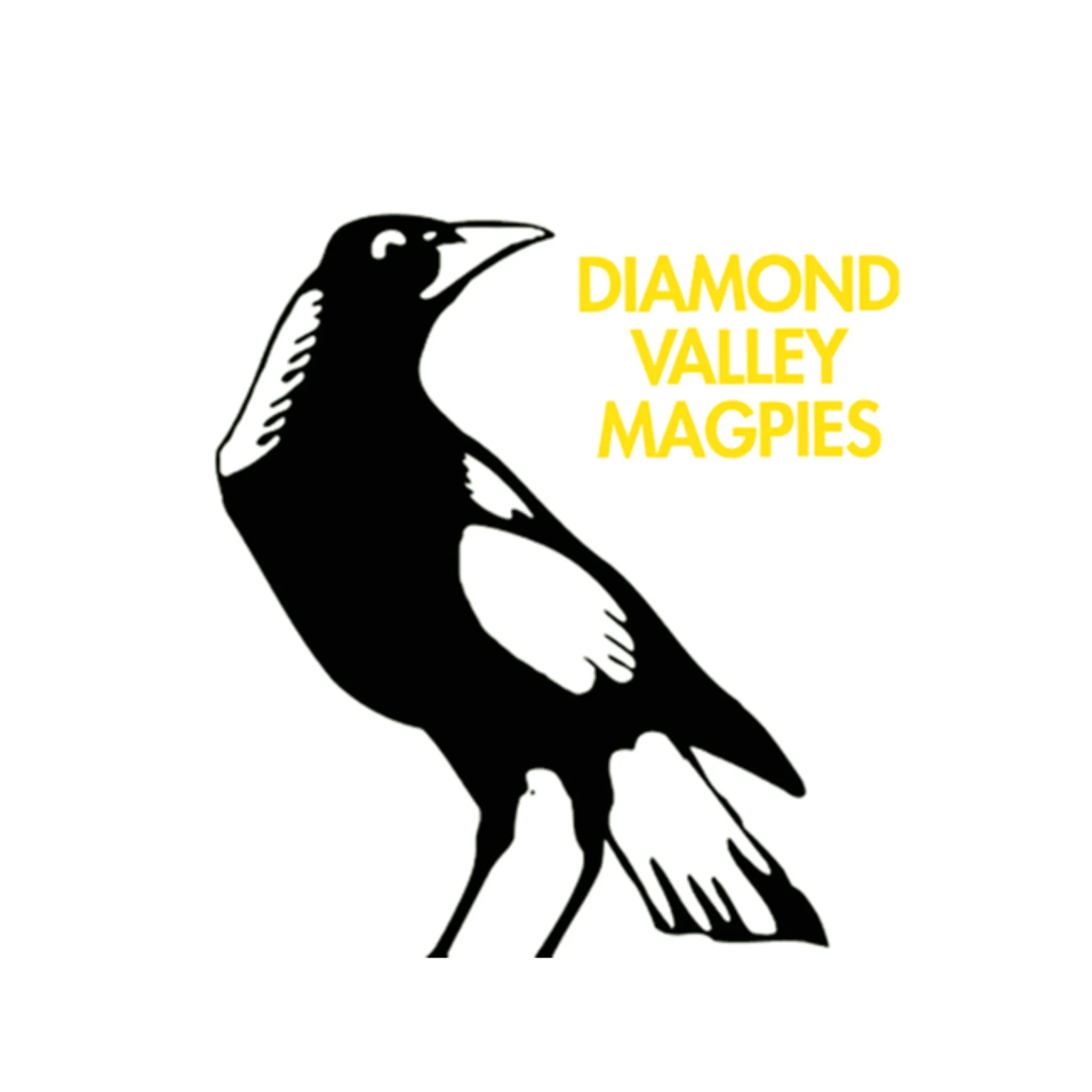 Diamond Valley Magpies