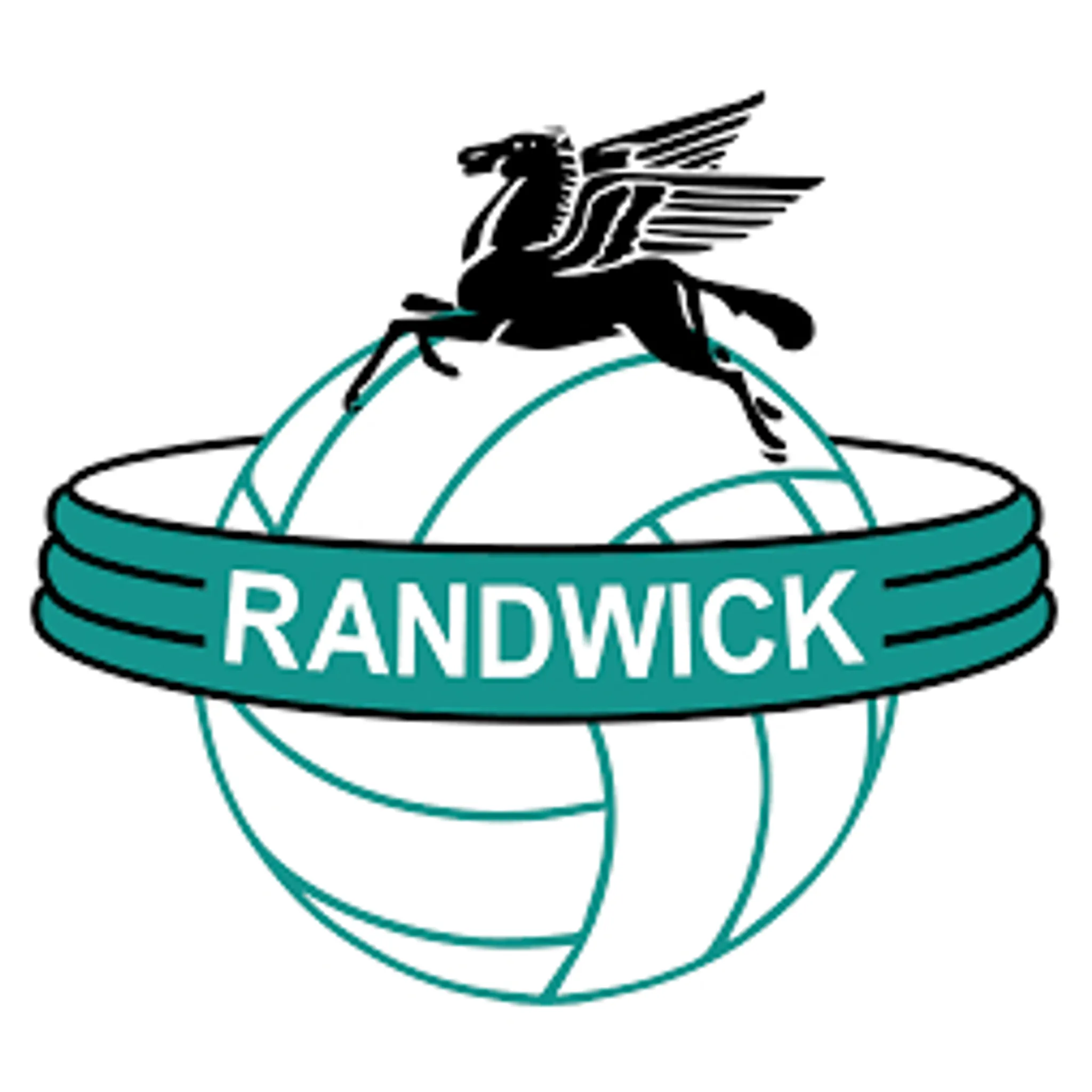 The Bays Netball Club