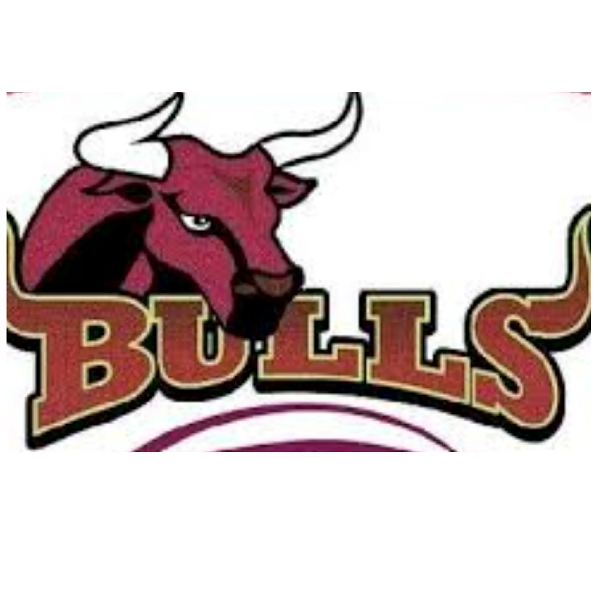 CRL Region 3 - Bidgee