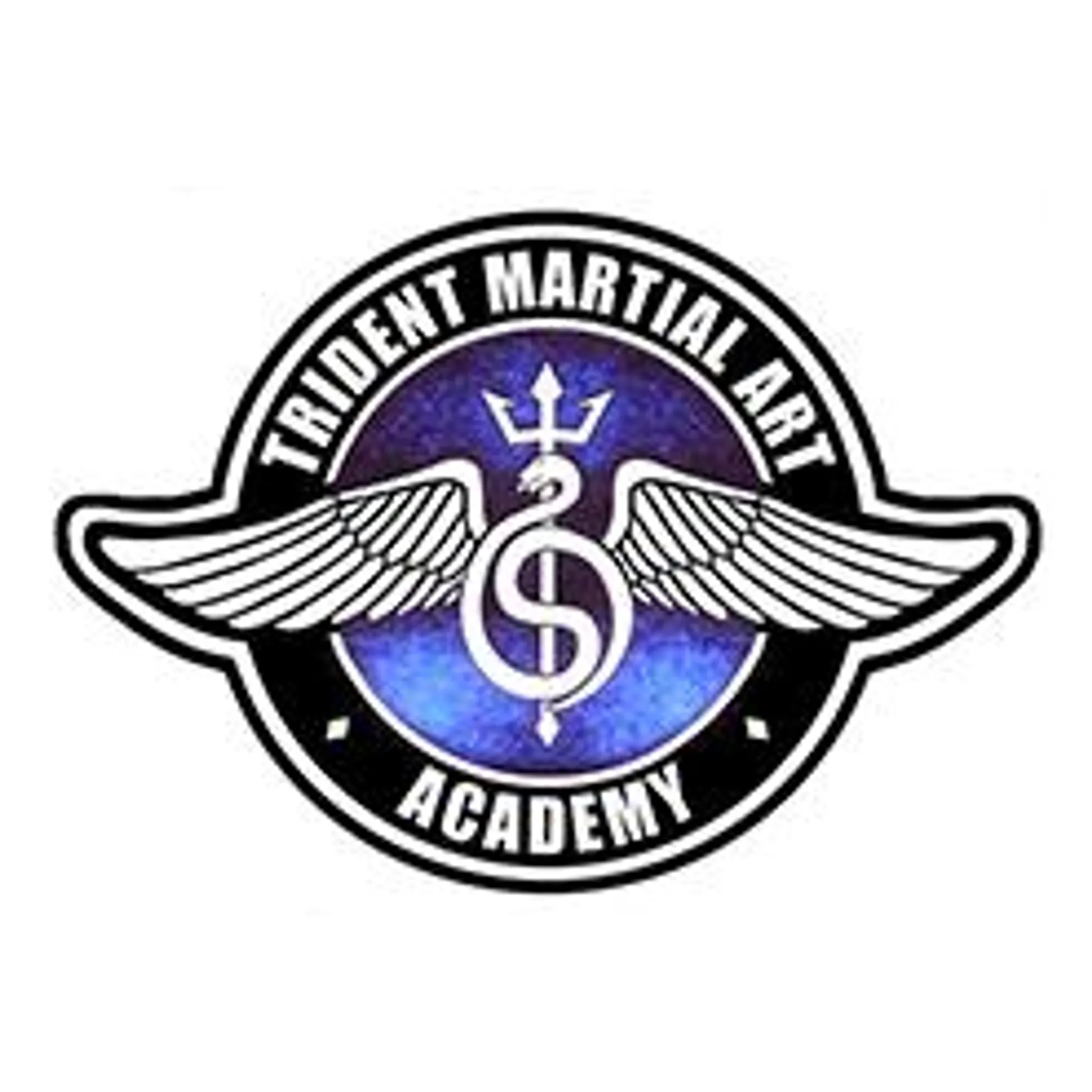 Trident Martial Art Academy