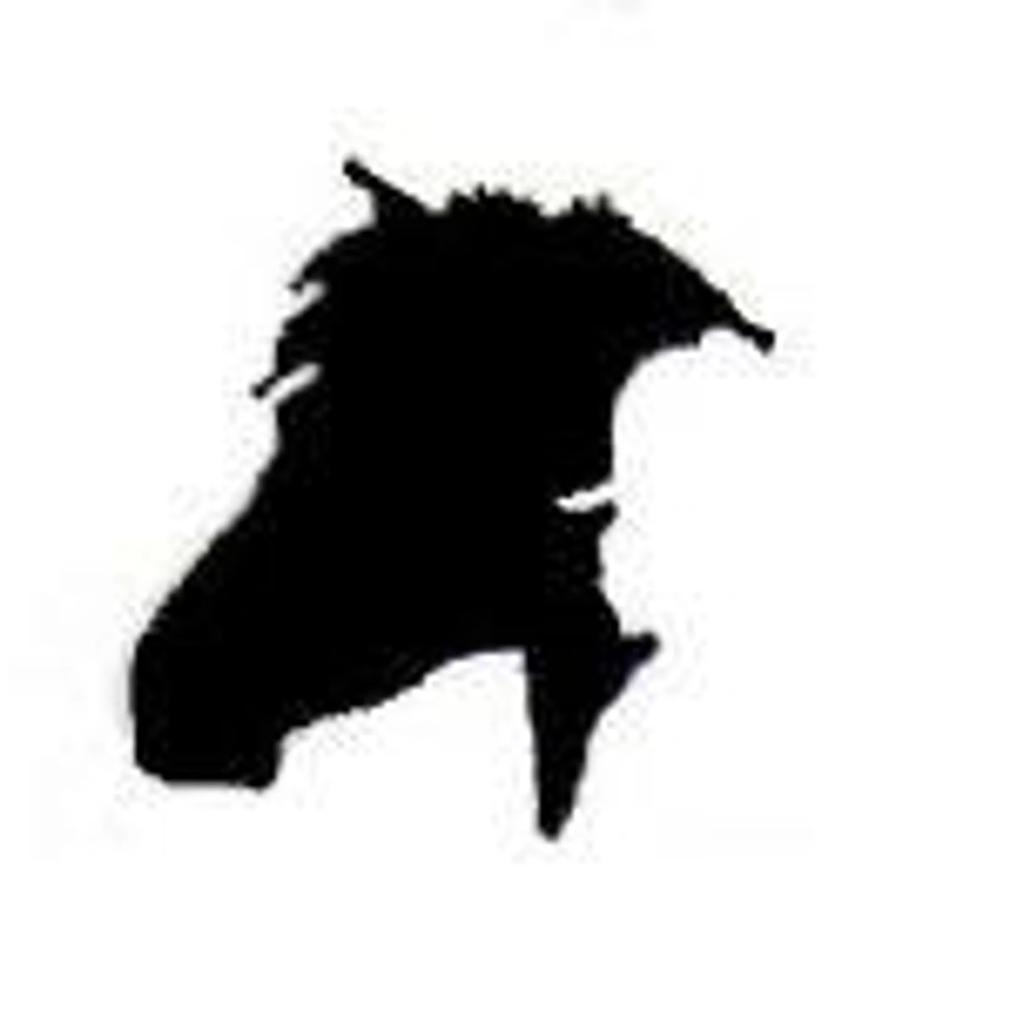 Drysdale Leopold Pony Club