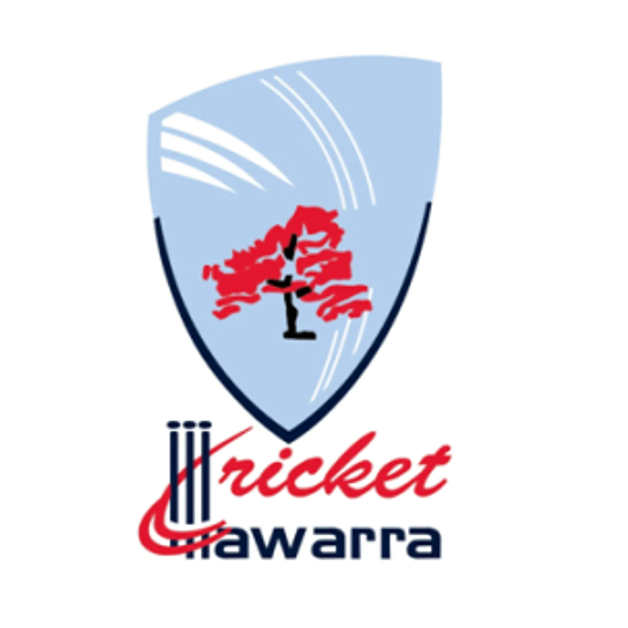 Cricket Illawarra 