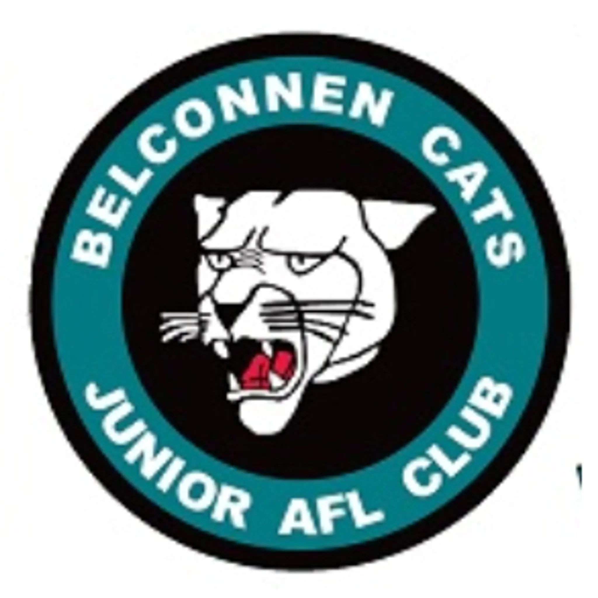 Belconnen Cats Pro (Ages 7 - 8)