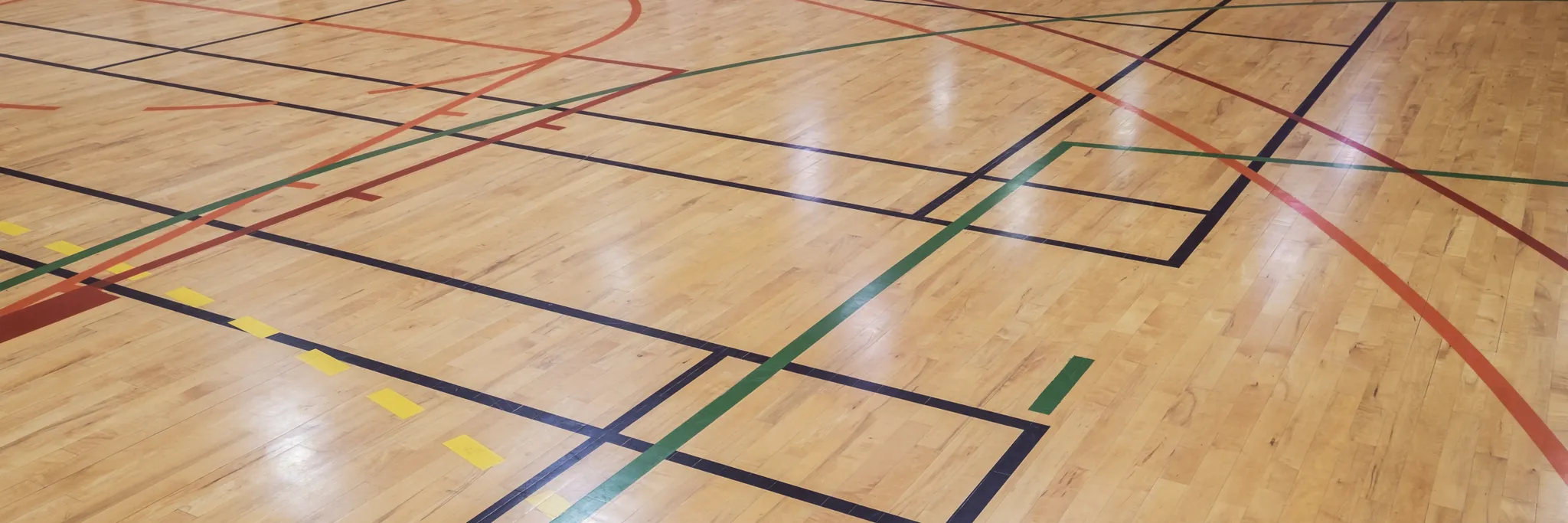 Dodgeball Federation Australia (DFA)