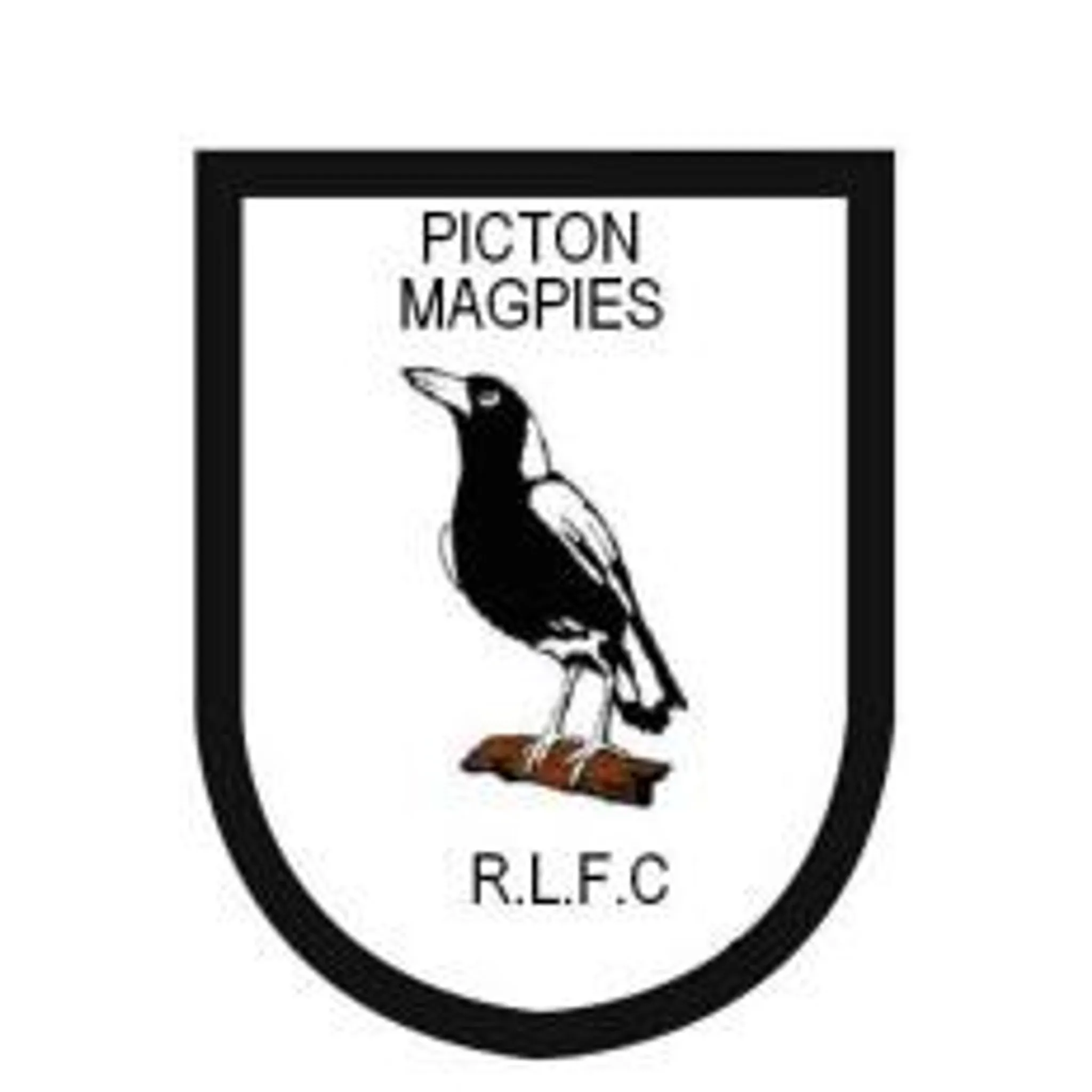 Picton Magpies RLFC Inc (Group 6 Rugby League)