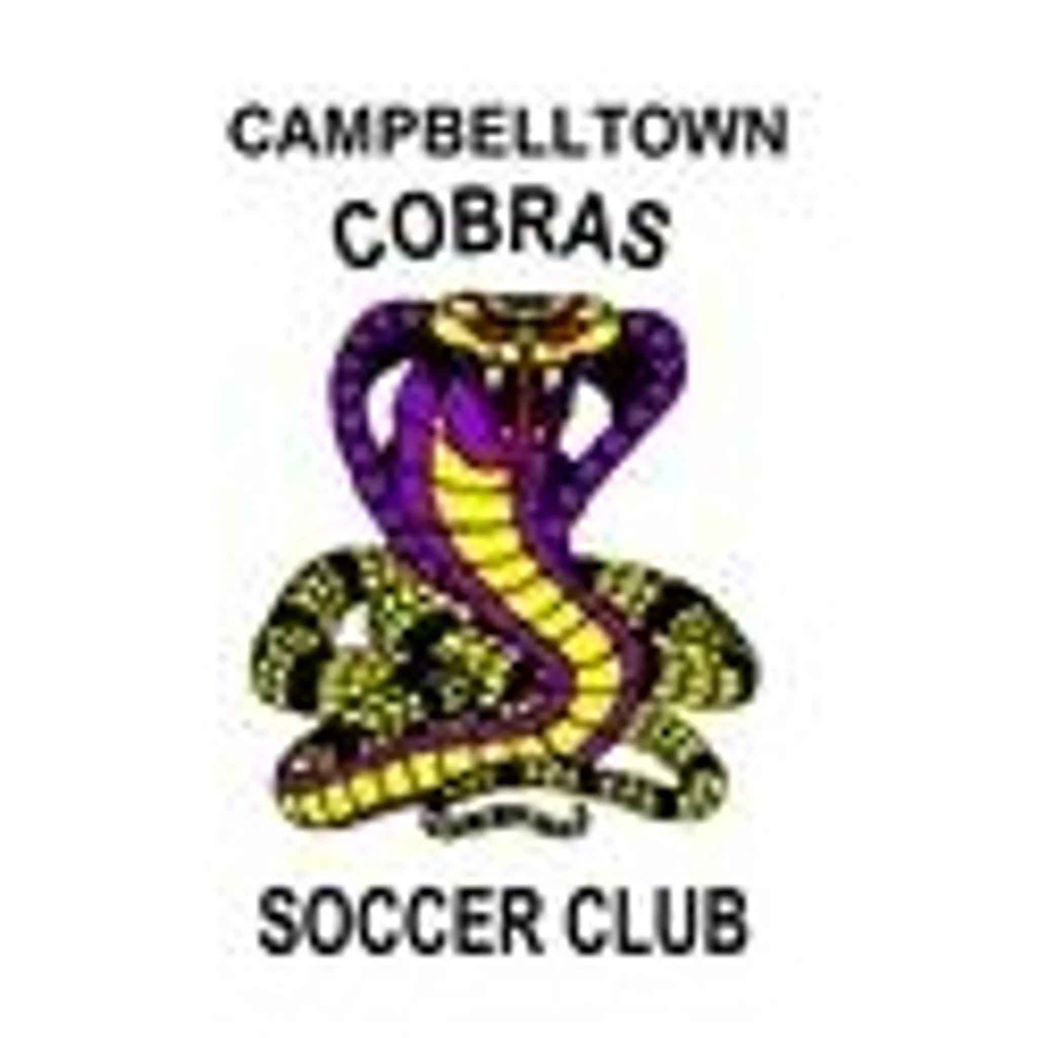 Campbelltown Cobras SC (Macarthur Football Association Inc)