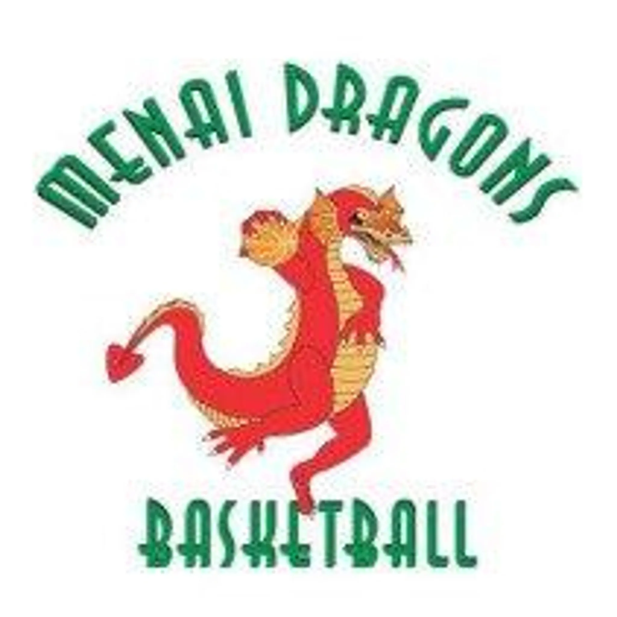 Menai Dragons Basketball Club Inc