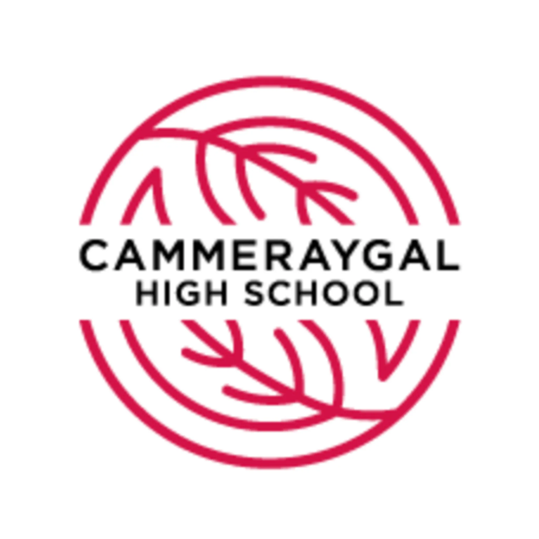 Cammeraygal Netball Club