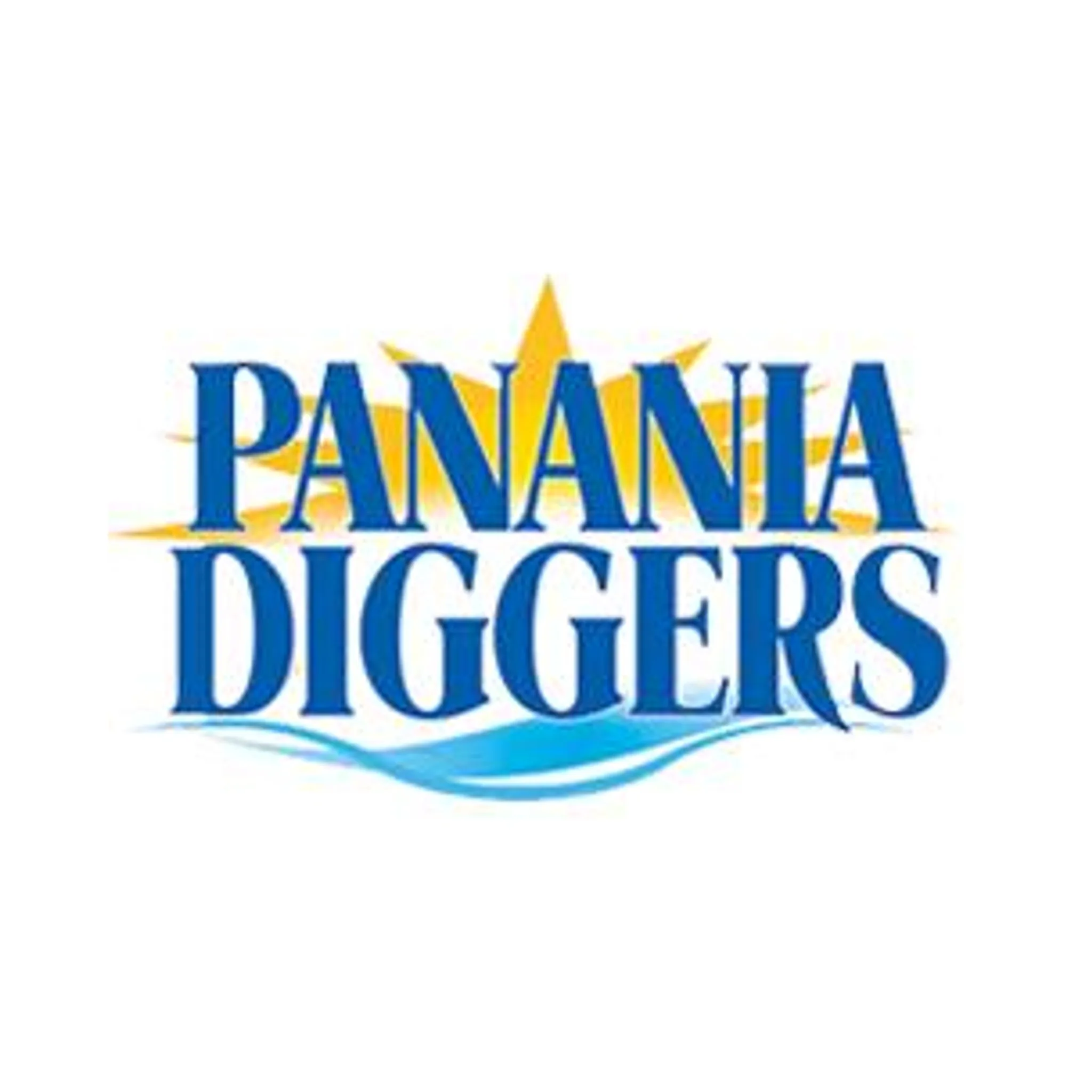 Panania RSL Netball Club