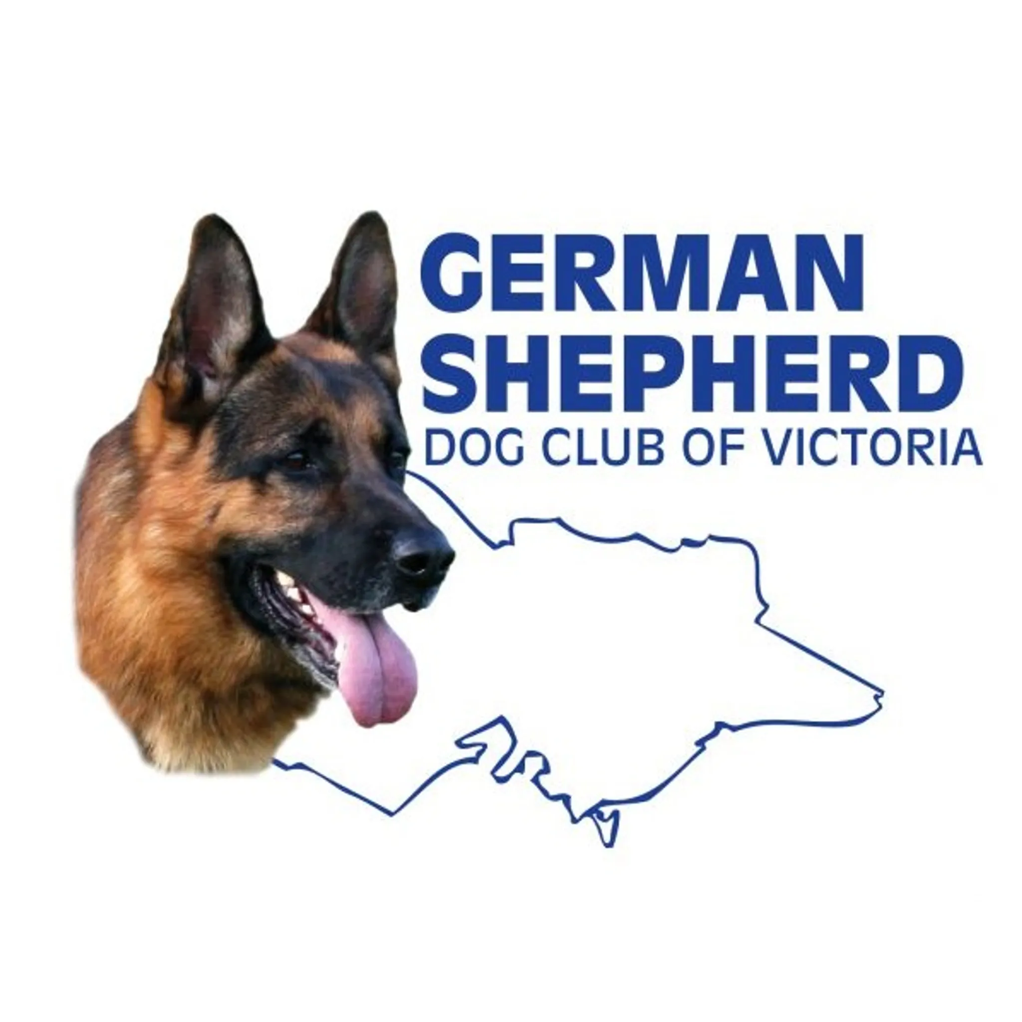 German Shepherd Dog Club Of Victoria - Skye