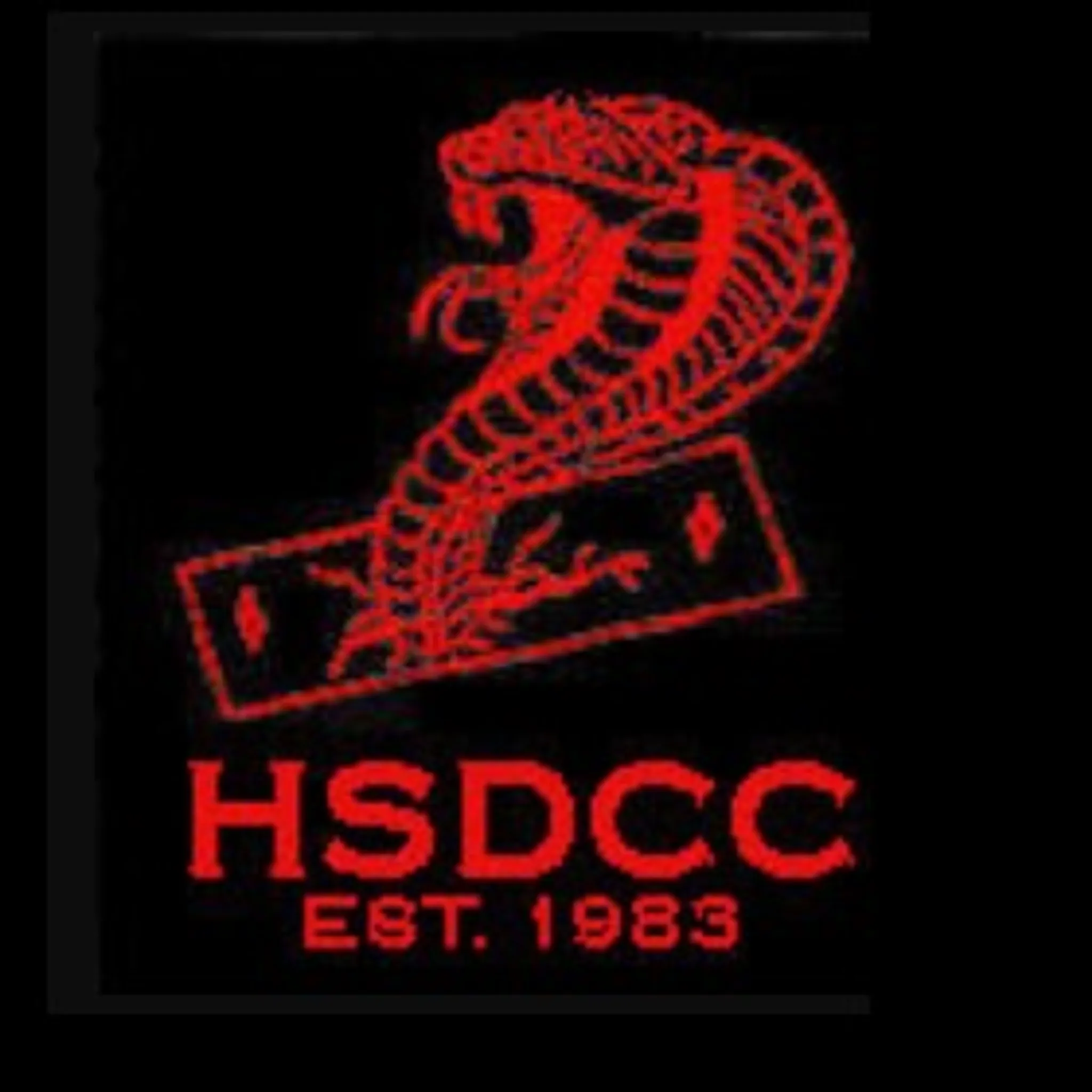 HSD Cricket Club