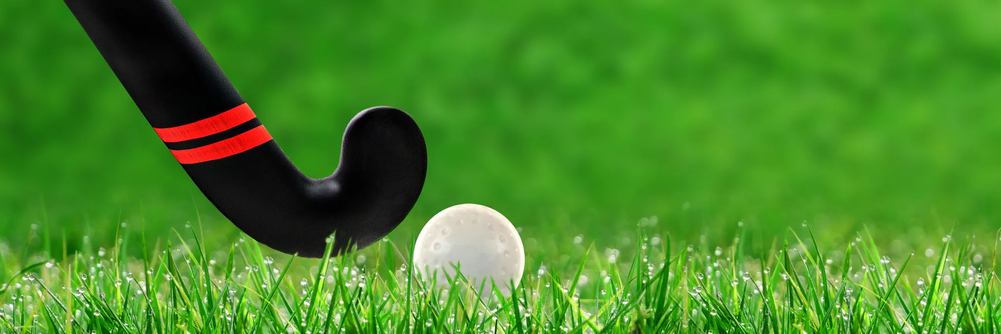 Come and Try Hockey March Come and Try Hockey March
