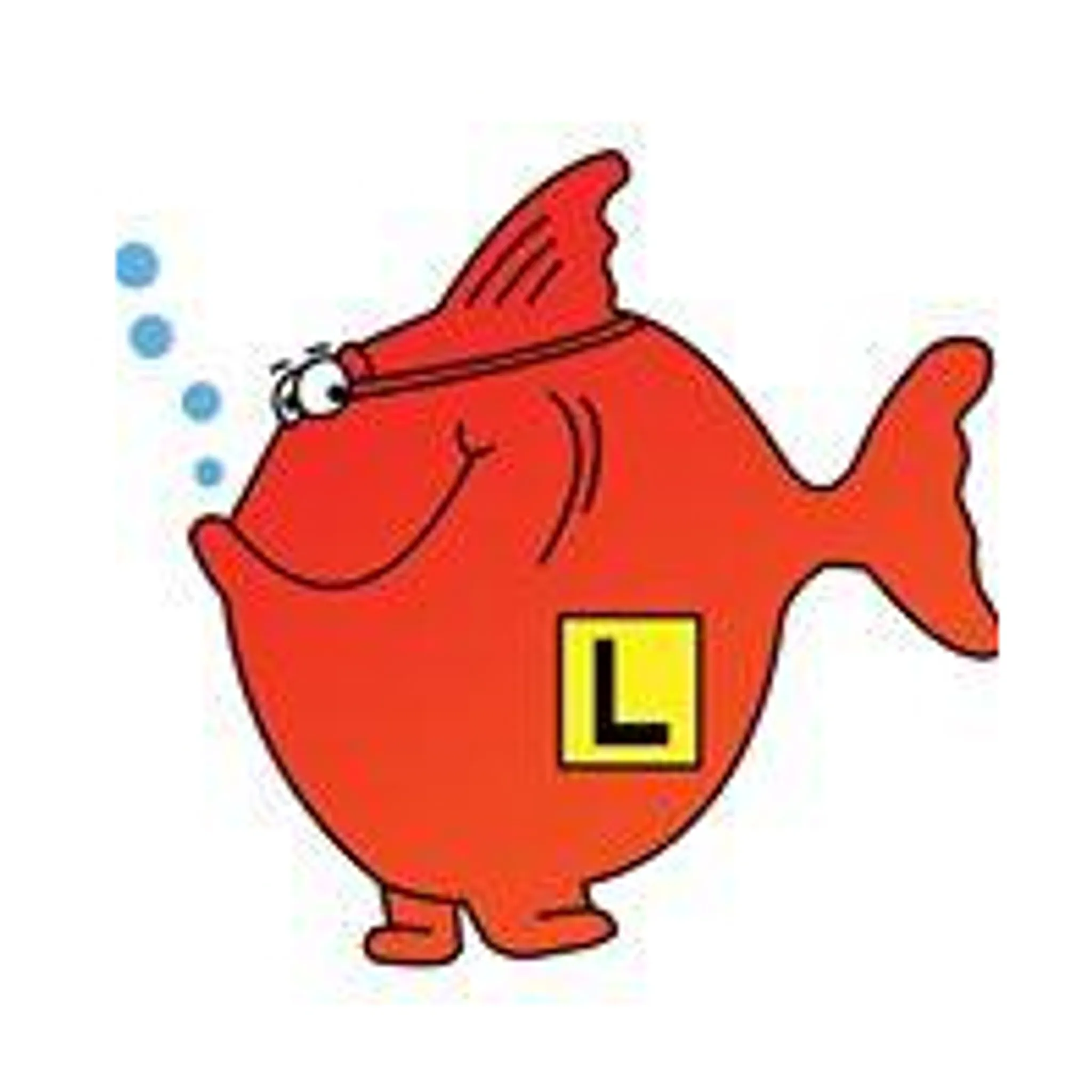 Parafield Gardens Swim School